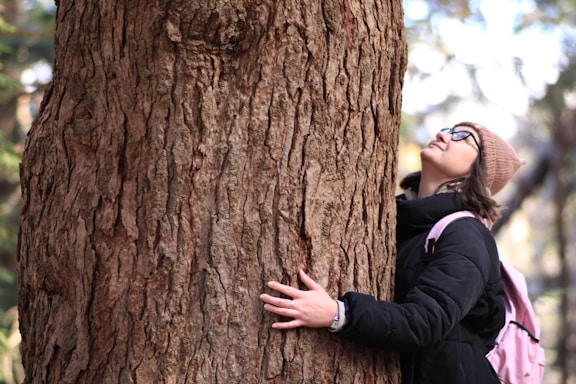 A woman hugging a tree in a forest