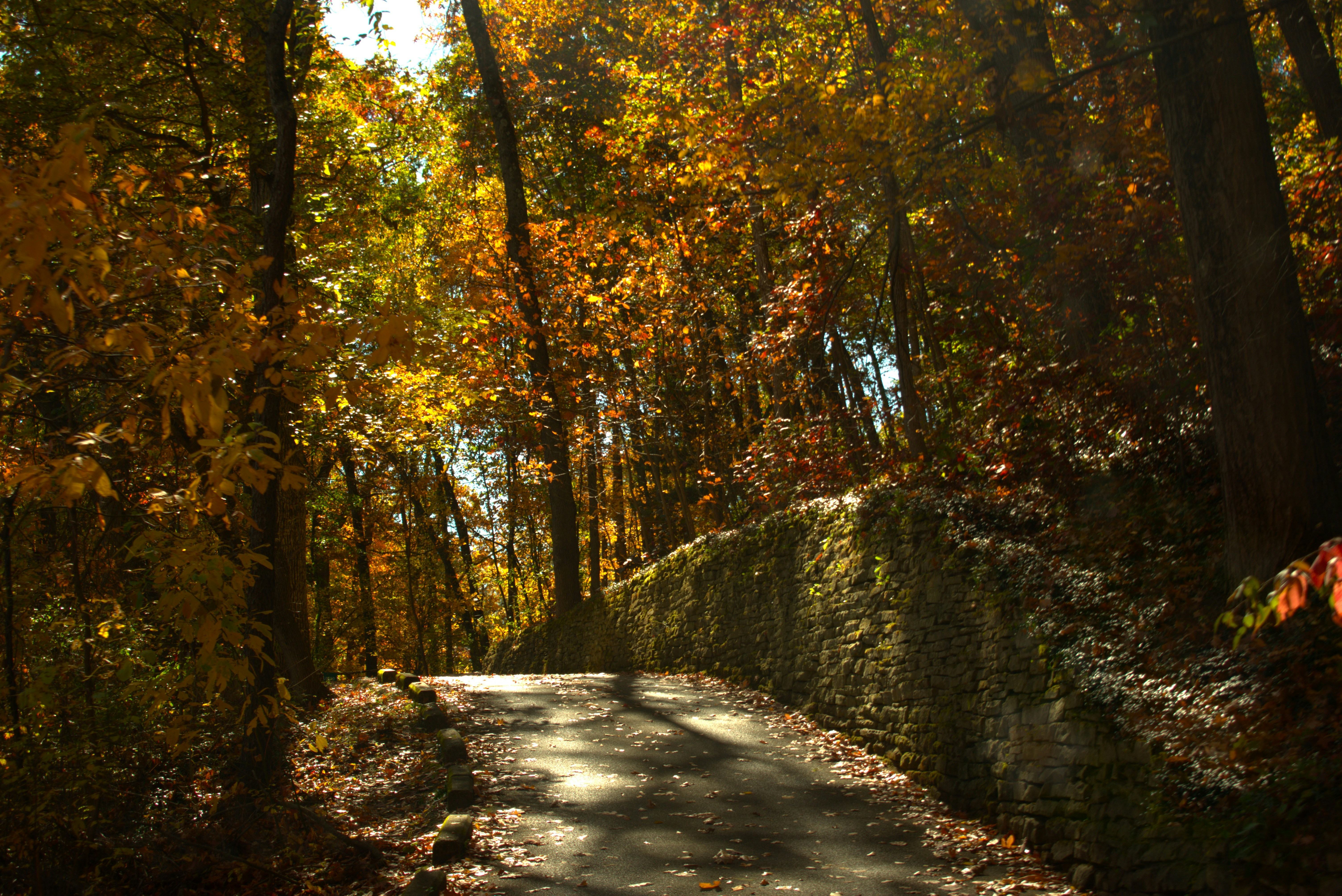 Photo by templeofthedove