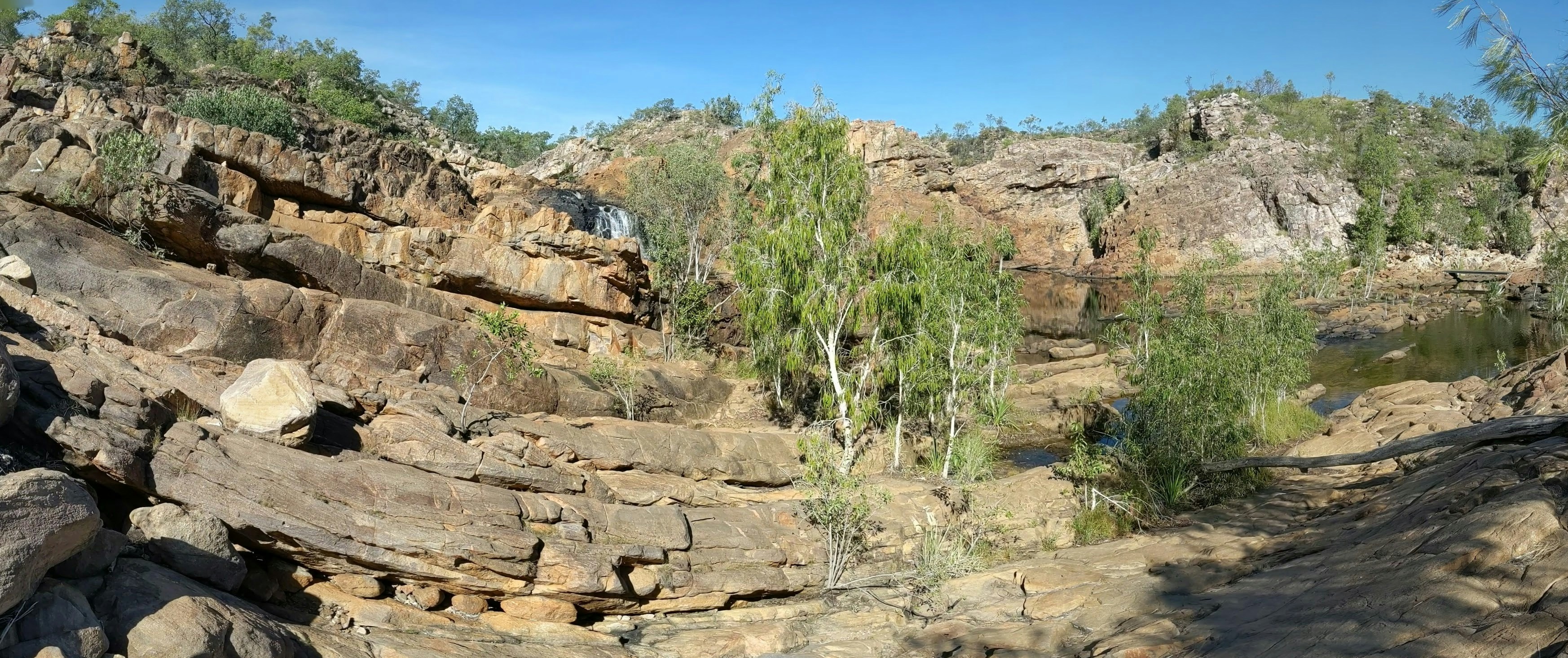 A rocky landscape with trees and rocks