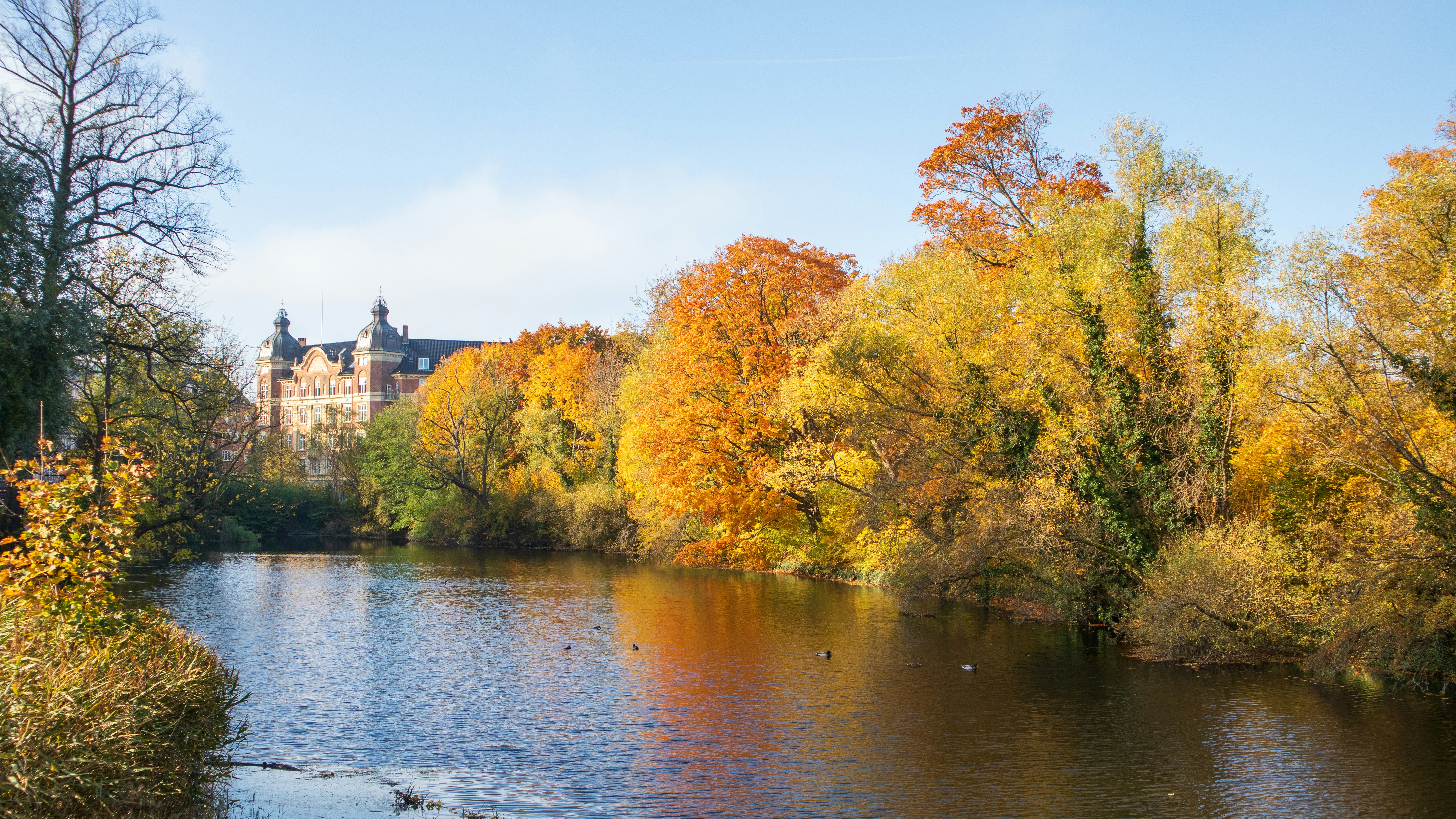 Photo by charly_nguyen