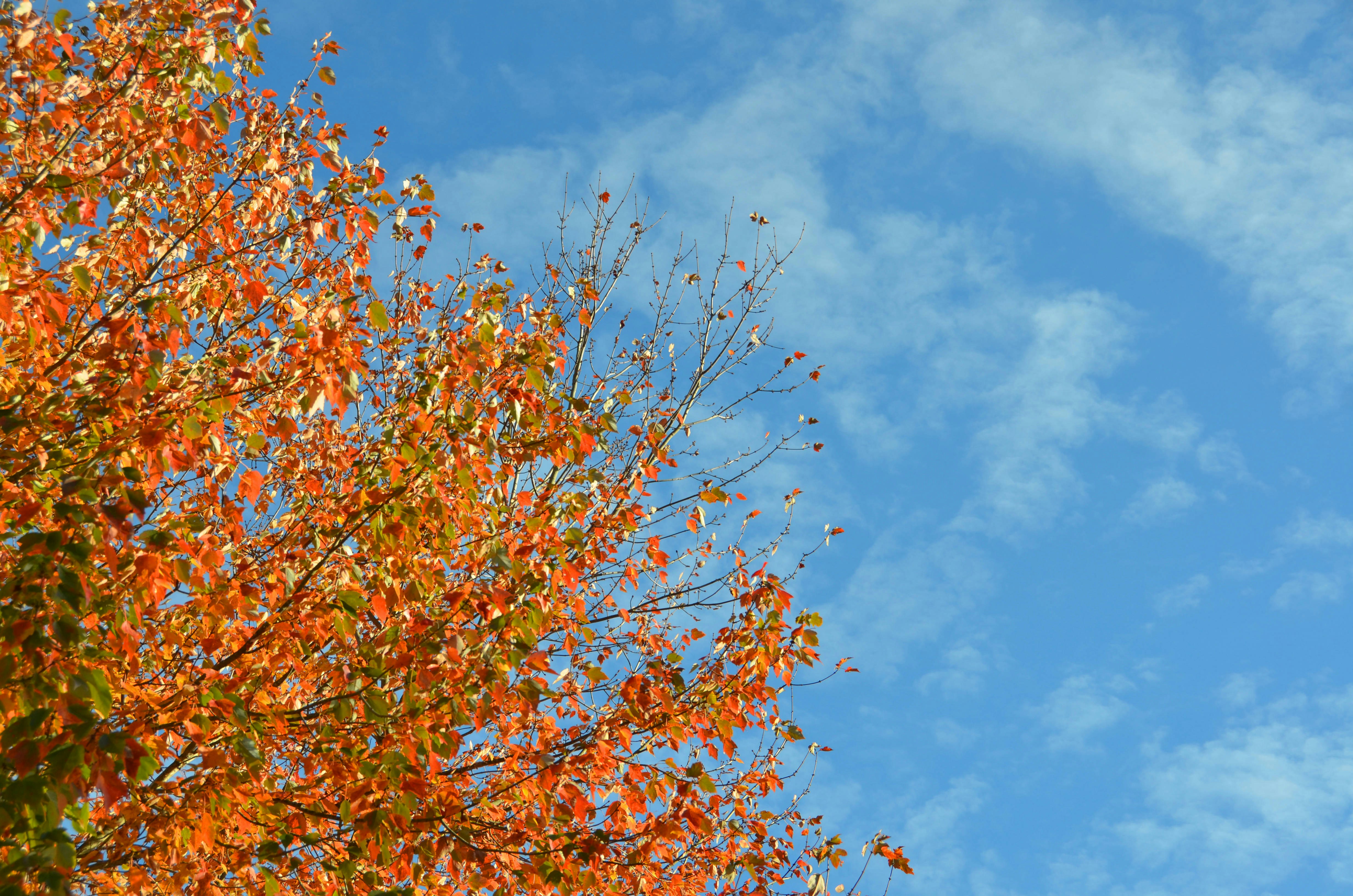 Photo by andrebernier