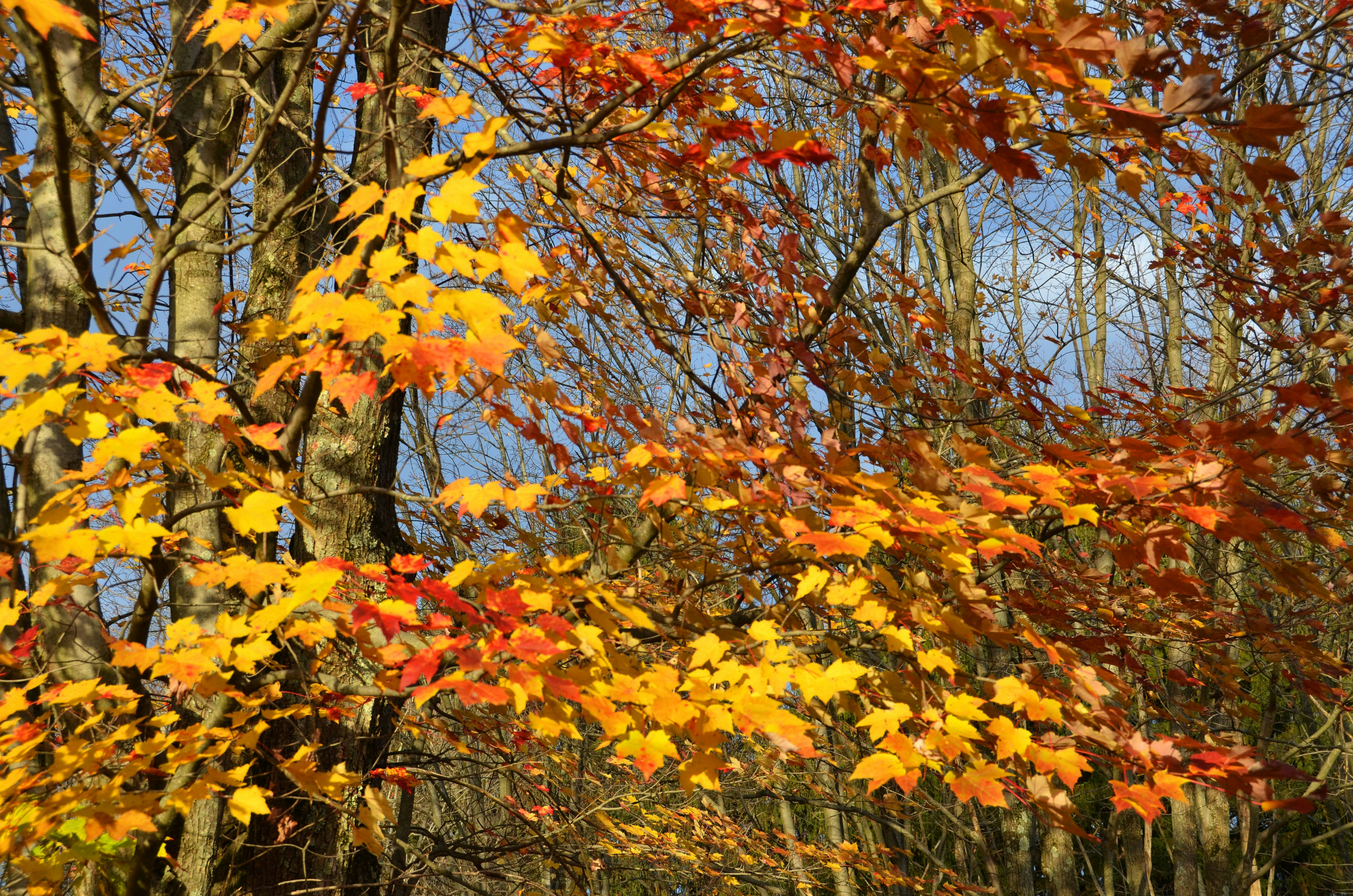 Photo by andrebernier