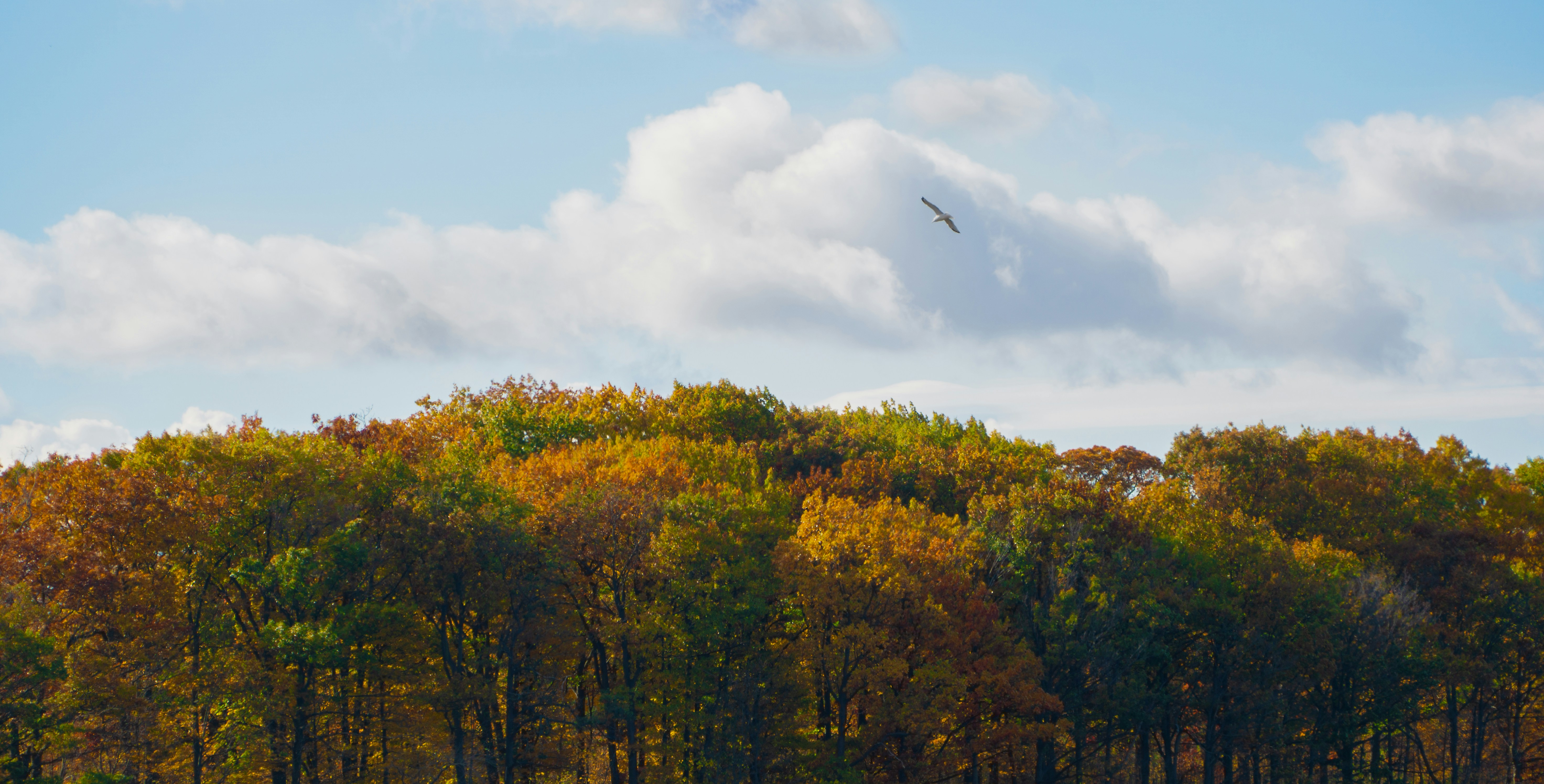 Photo by jeremy_vejgman