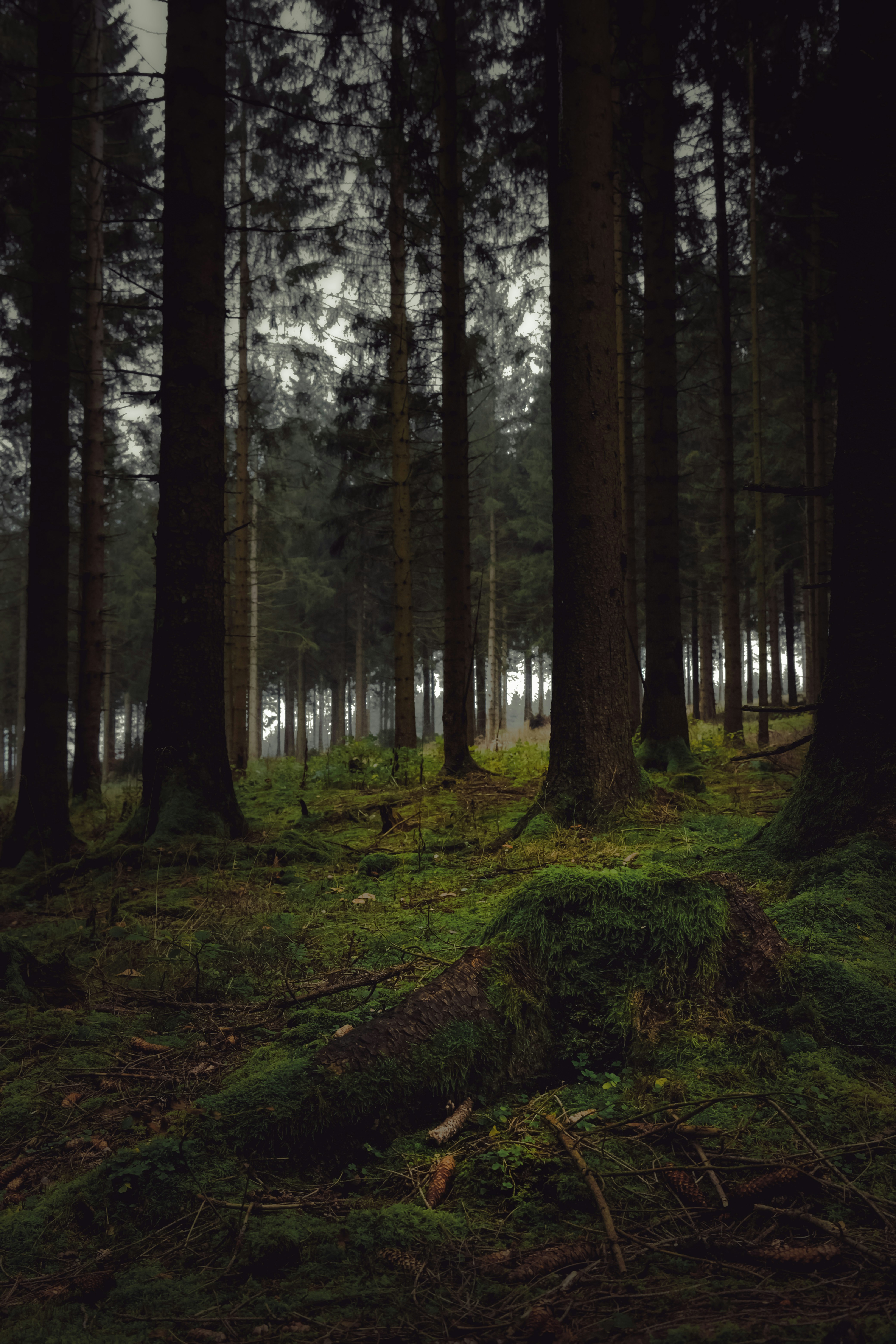 Photo by denisaficau