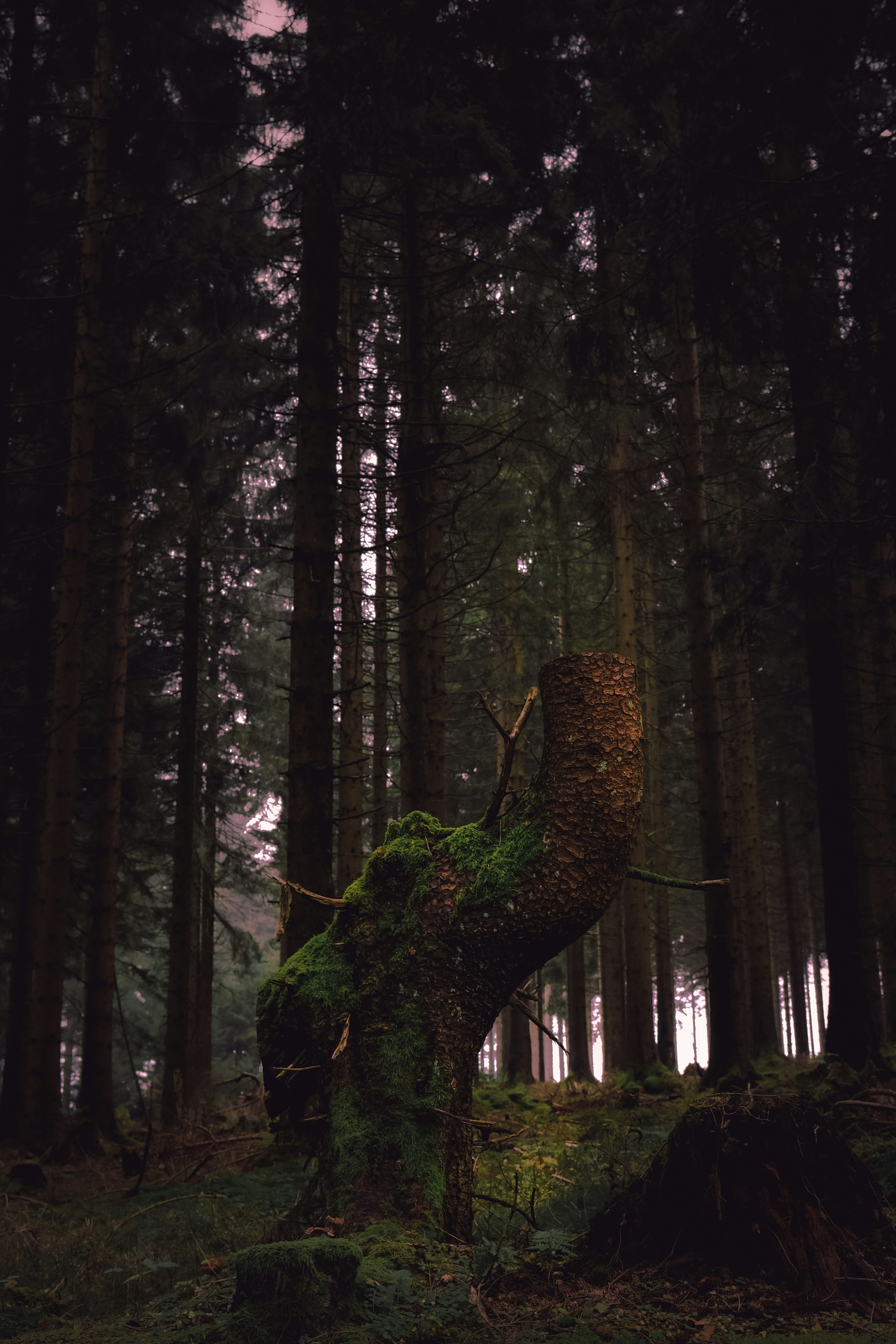 Photo by denisaficau