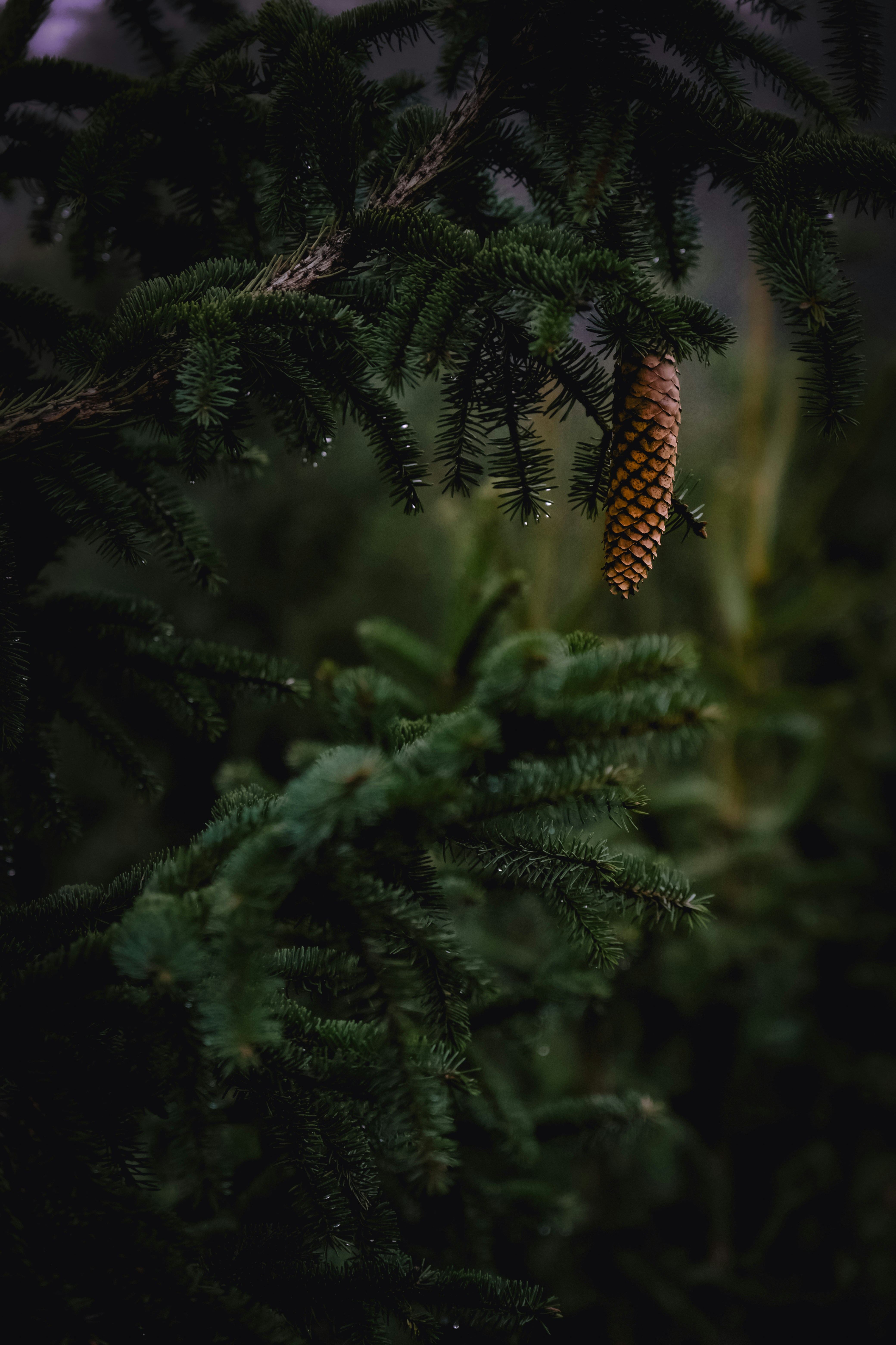 Photo by denisaficau