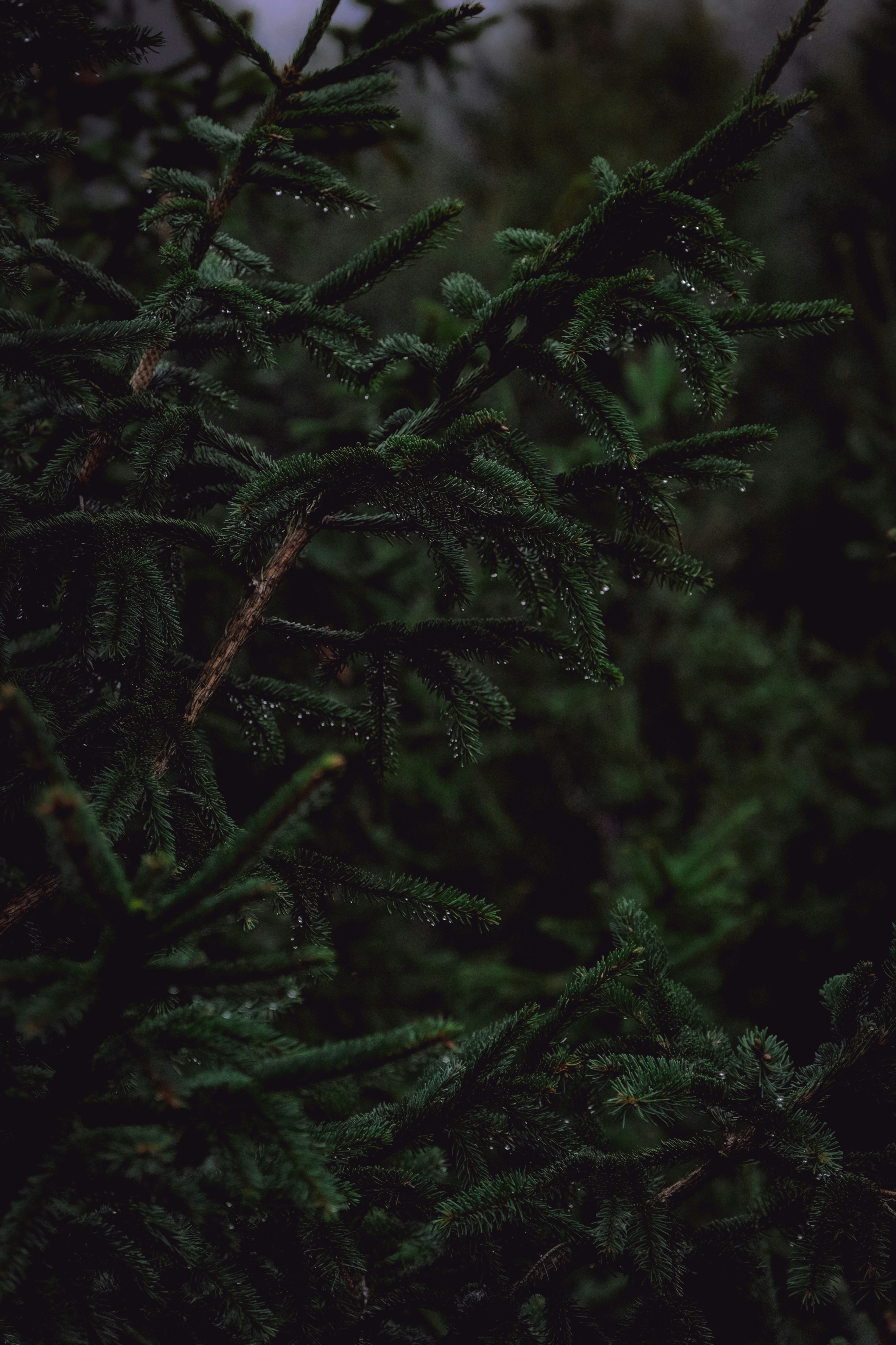 Photo by denisaficau