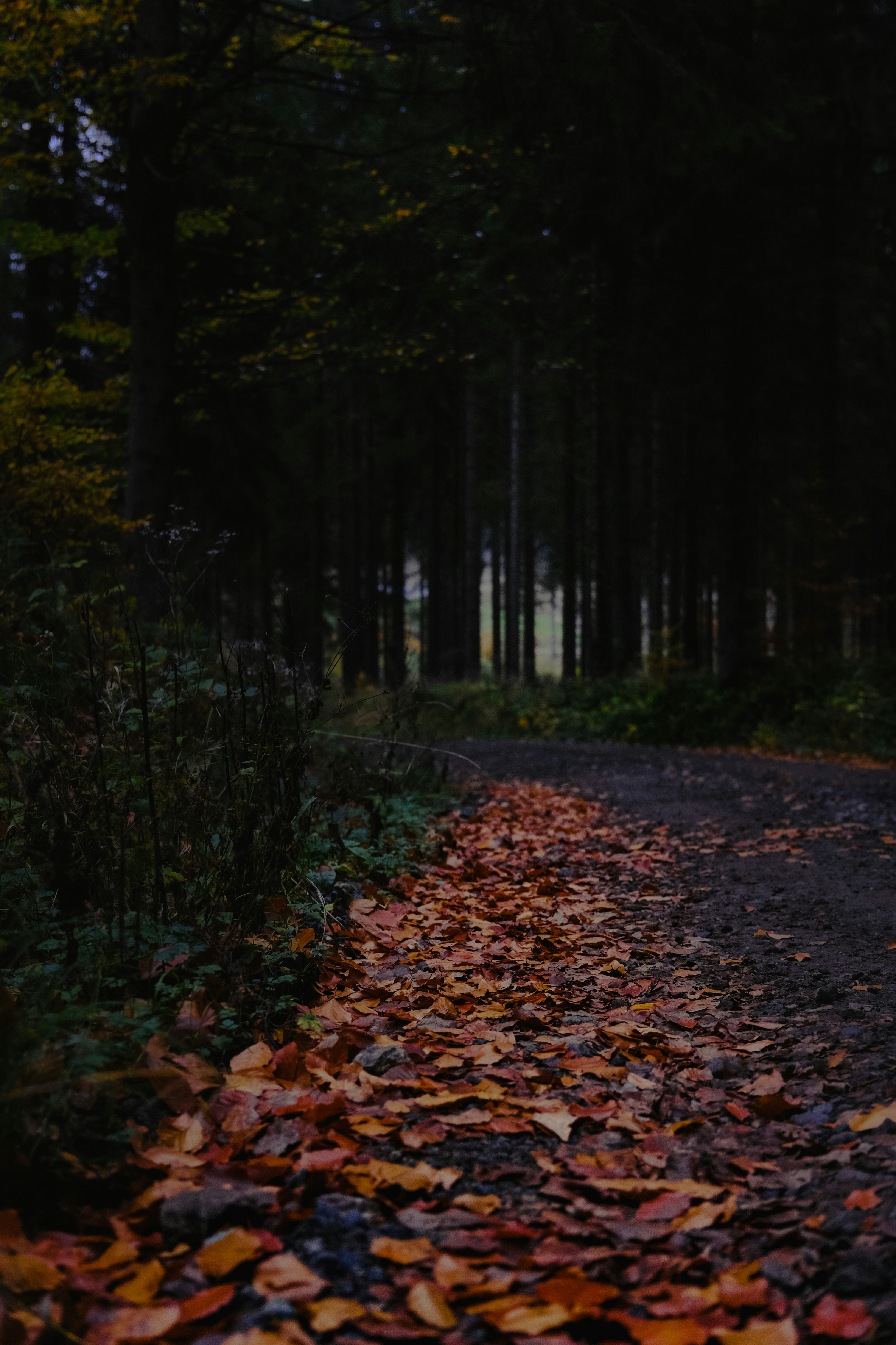 Photo by denisaficau