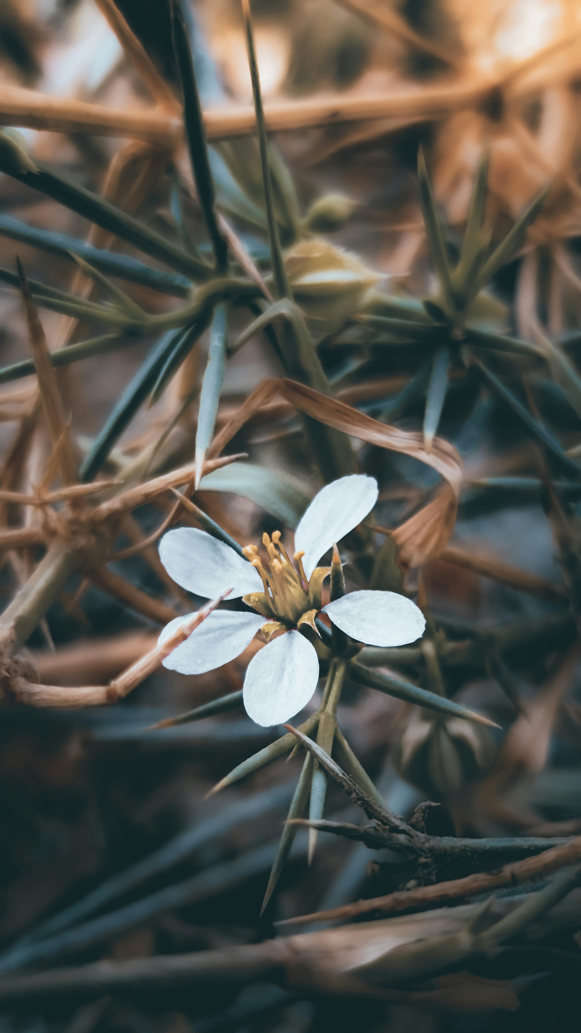 Photo by fukw0314_88