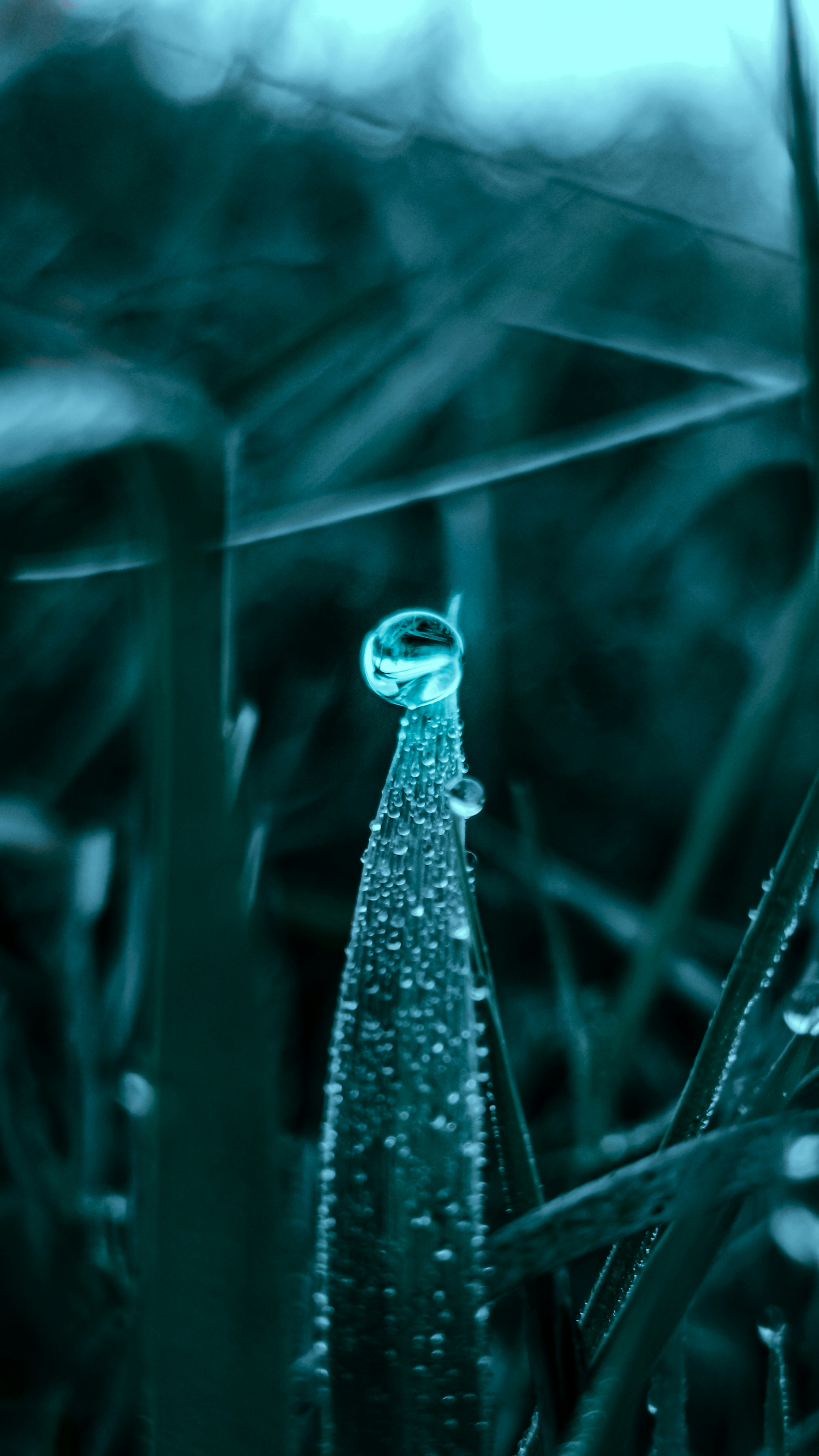 Photo by fukw0314_88