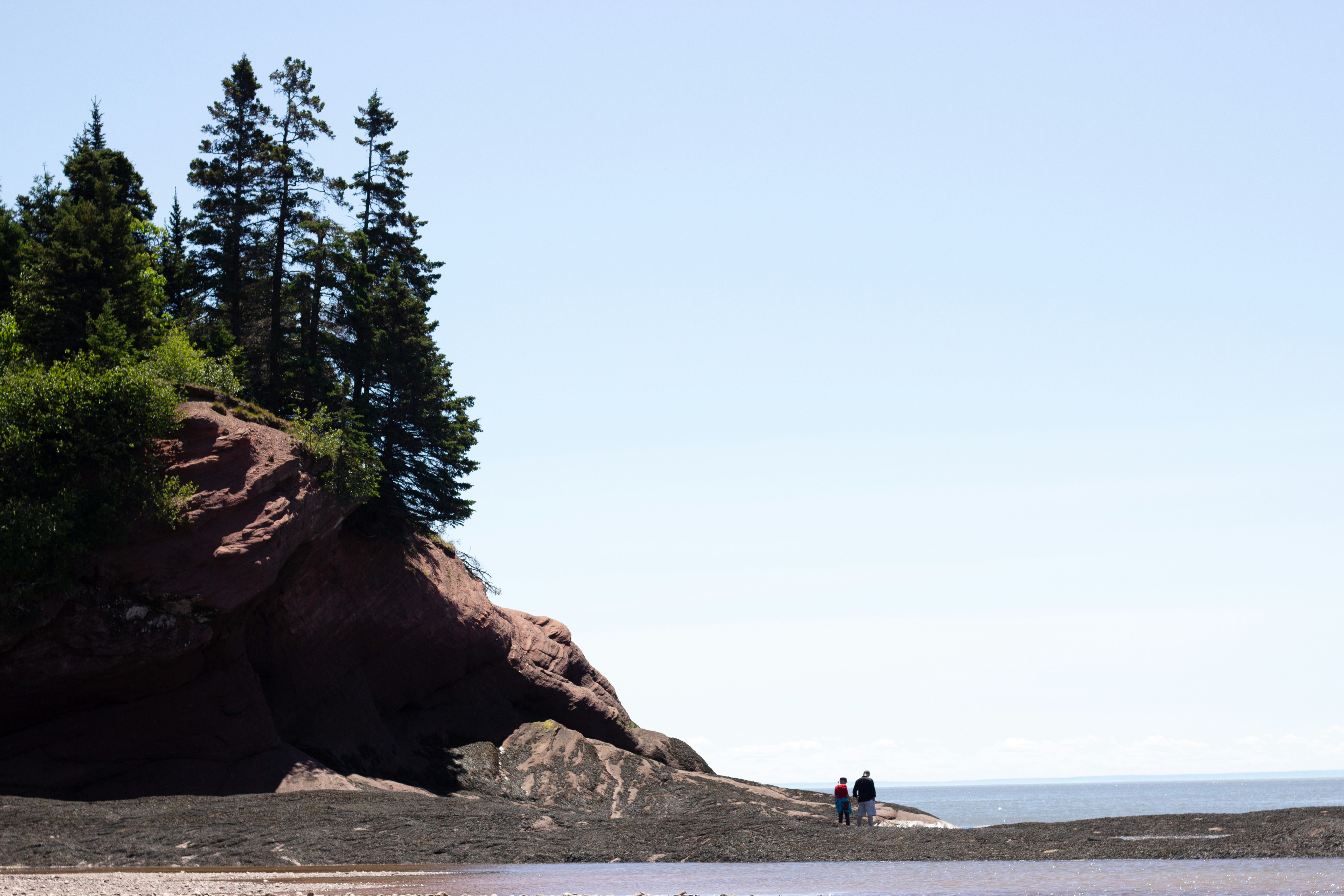 new-brunswick-landscape