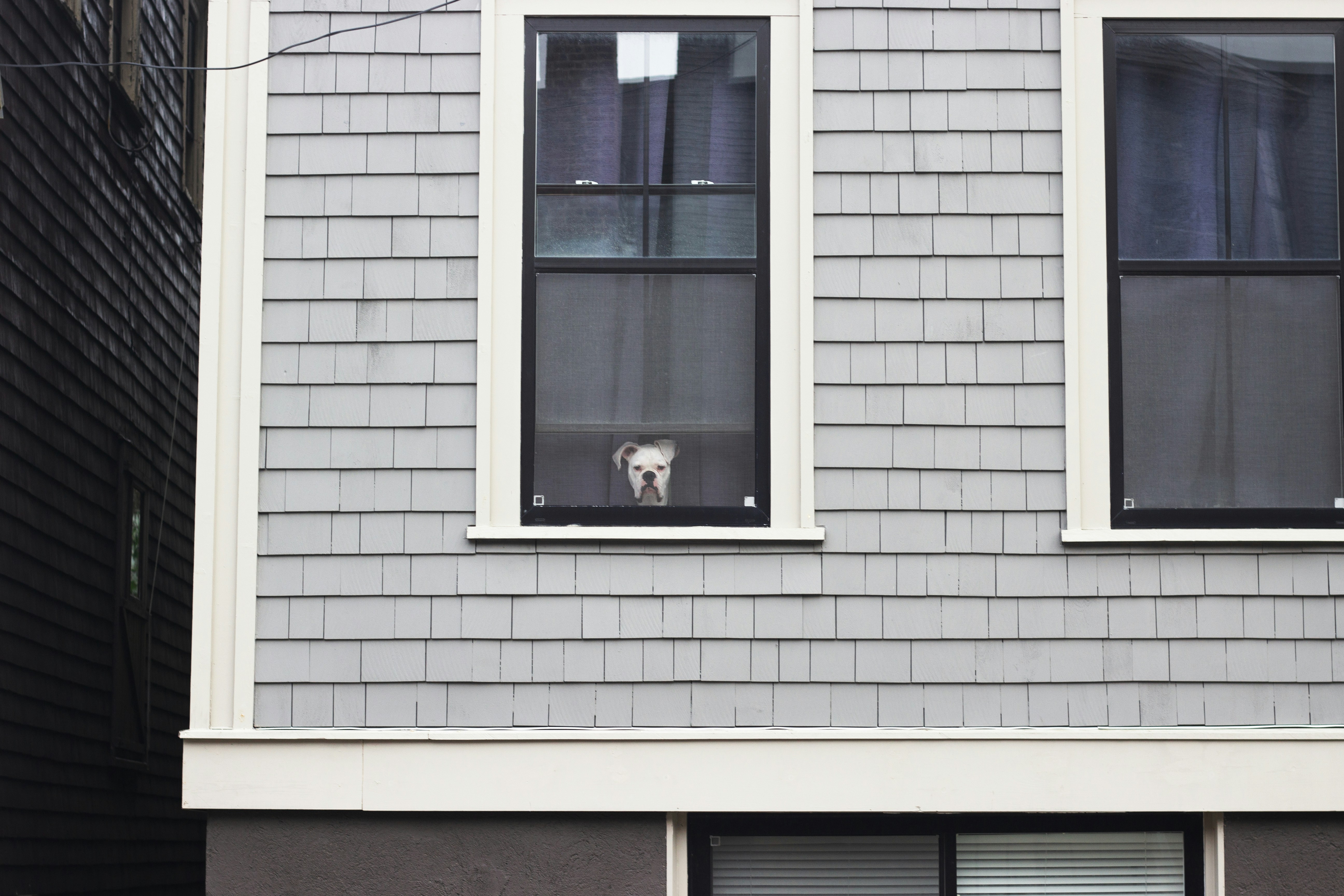 Homeowner with questions