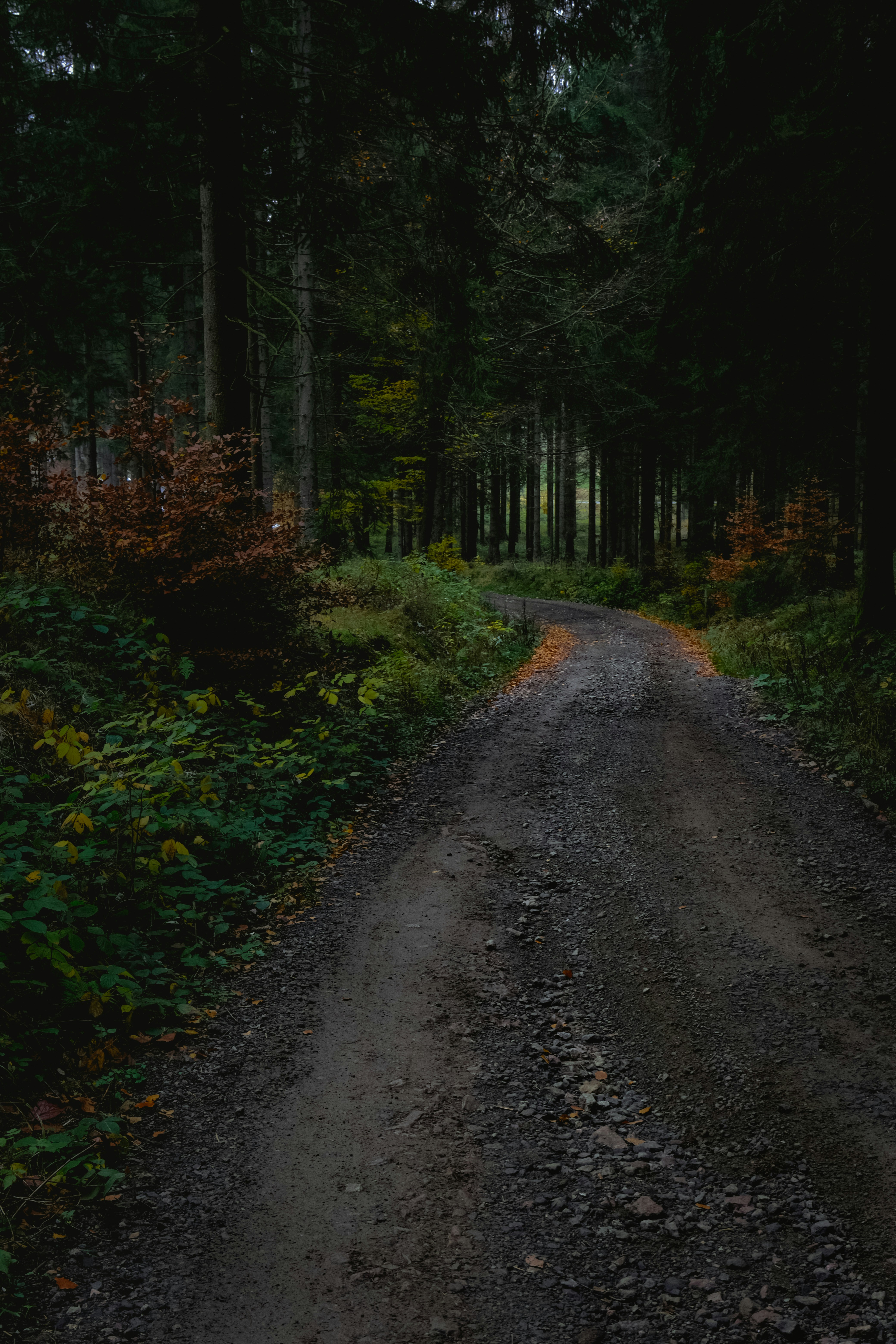 Photo by denisaficau