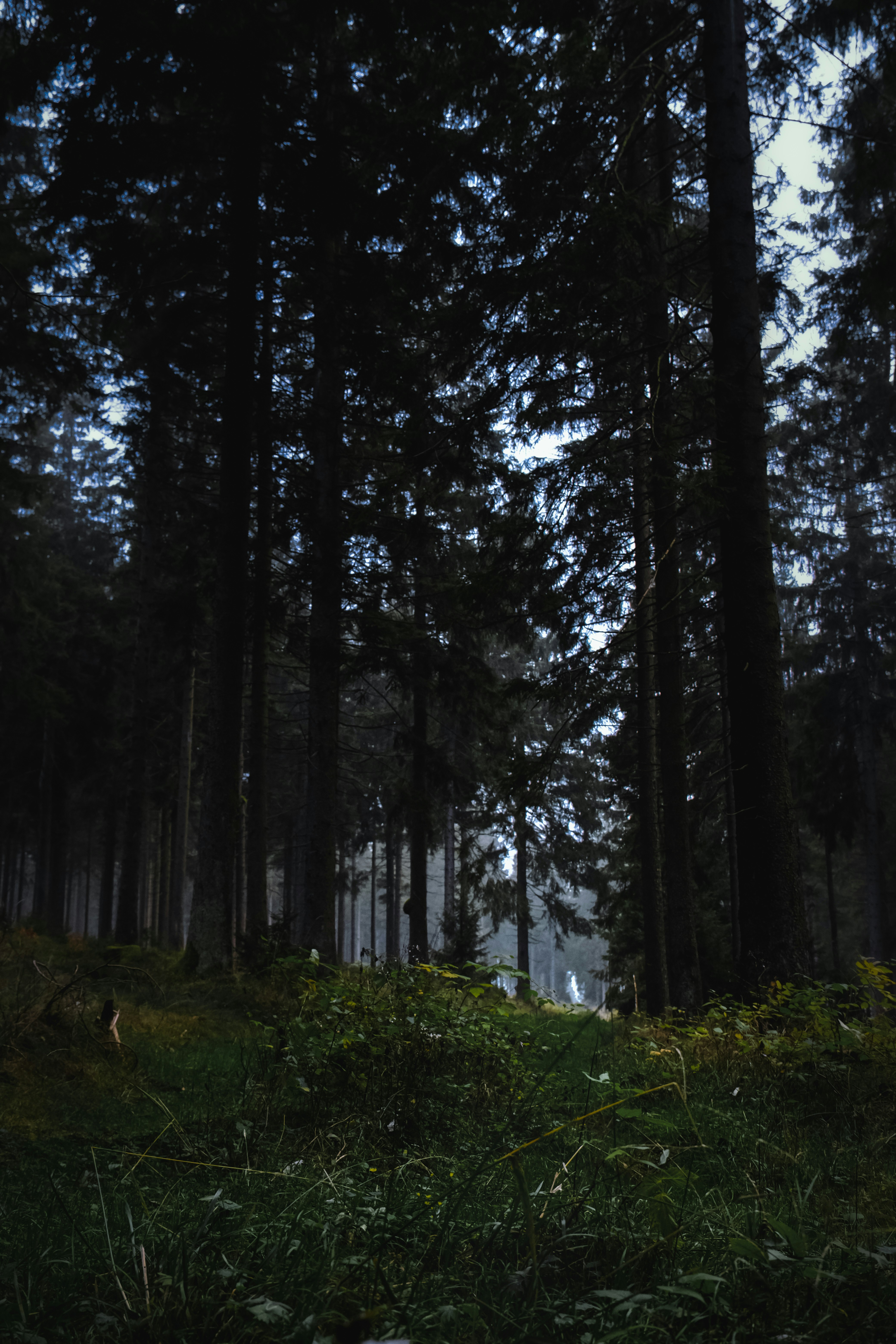 Photo by denisaficau