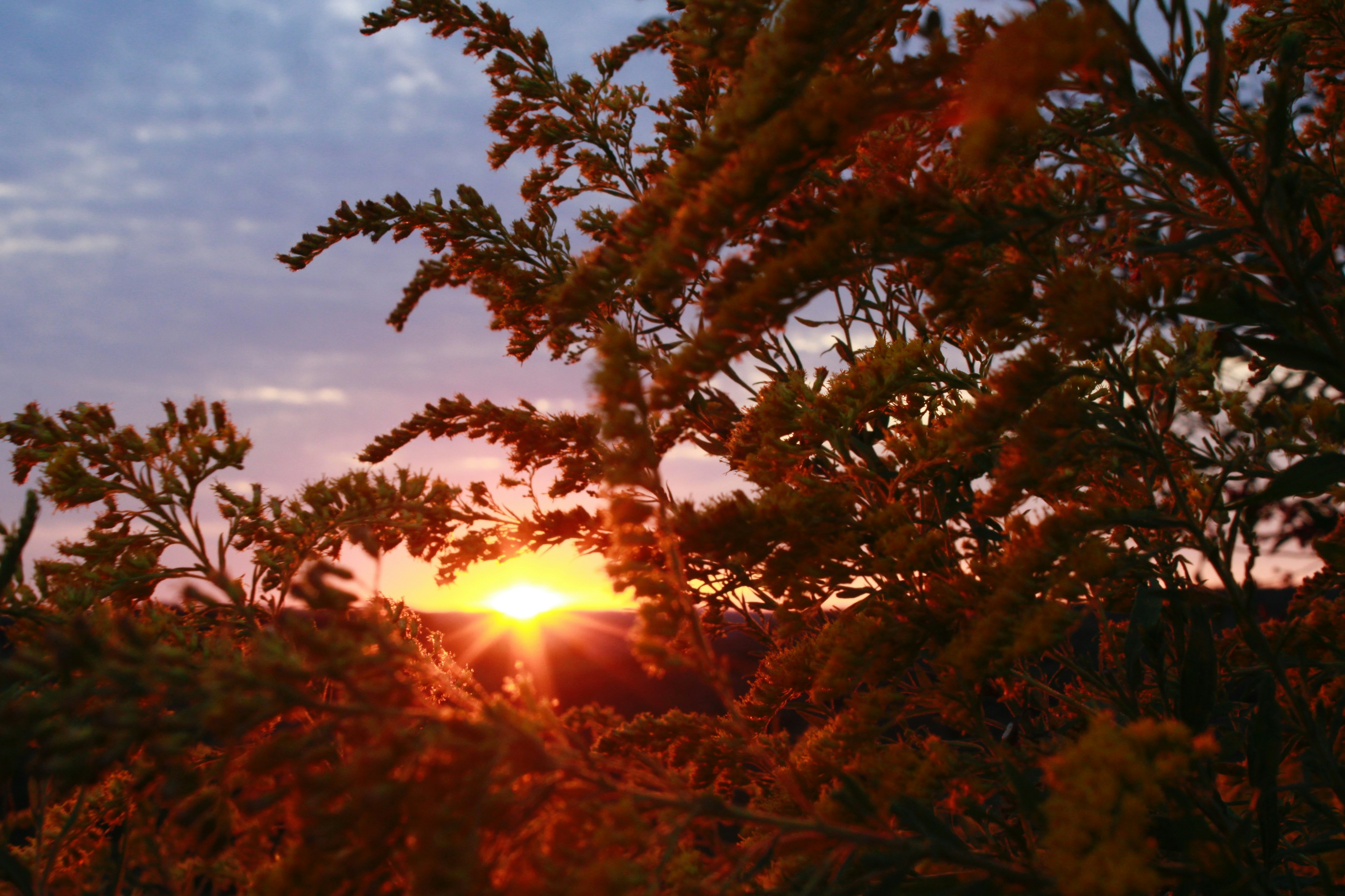 Photo by lisa_duqlaw