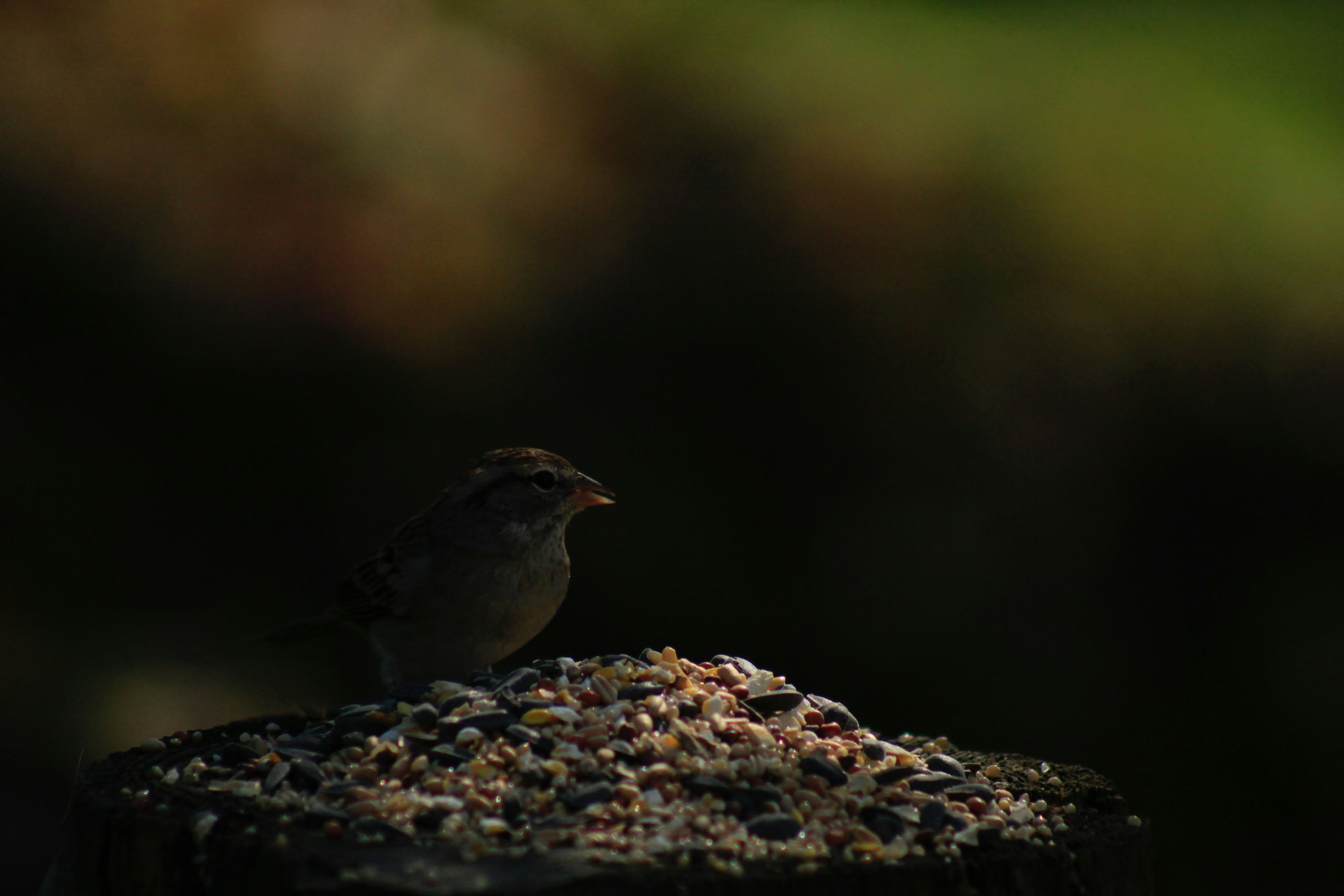 Photo by lisa_duqlaw