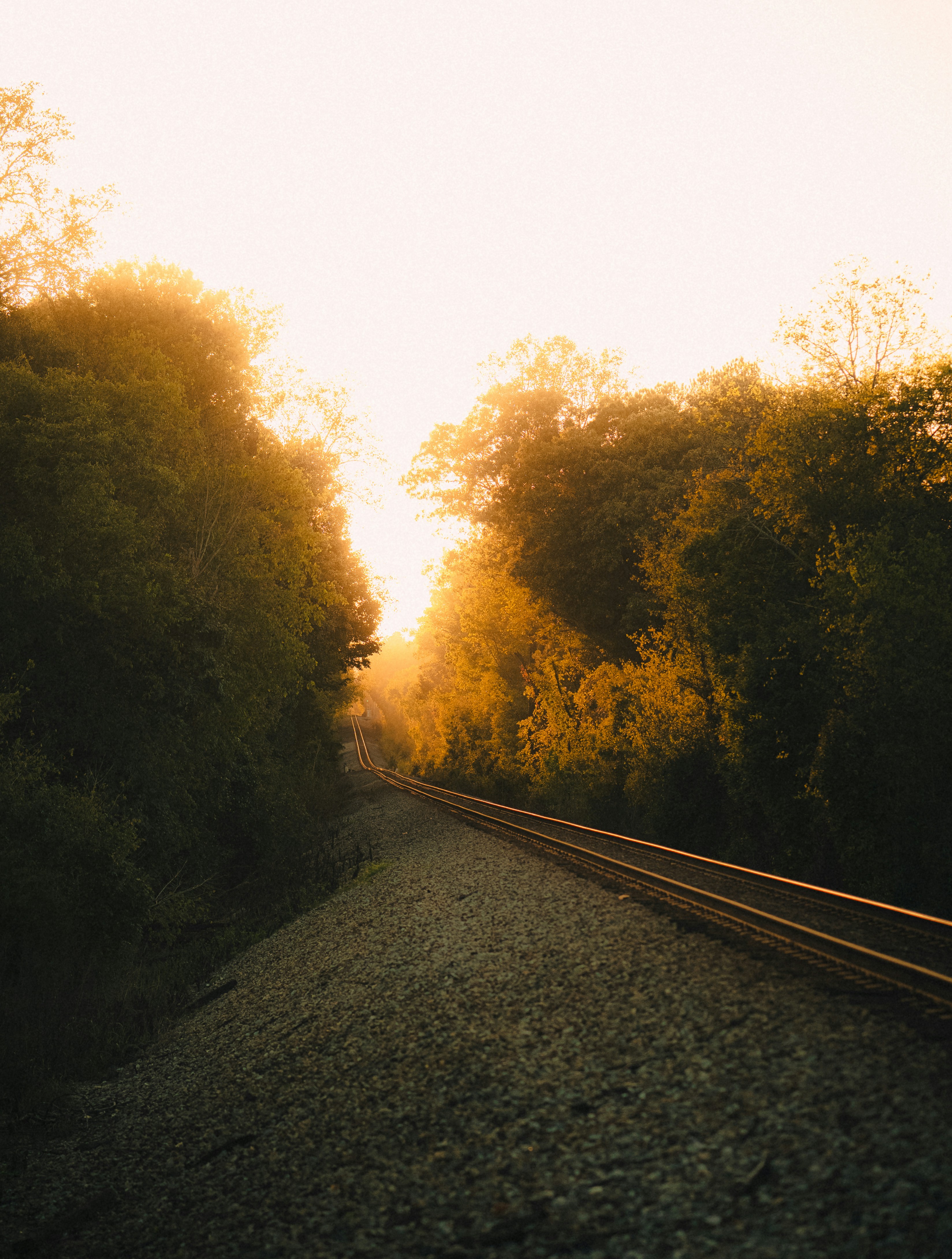 Photo by dylan_michaud