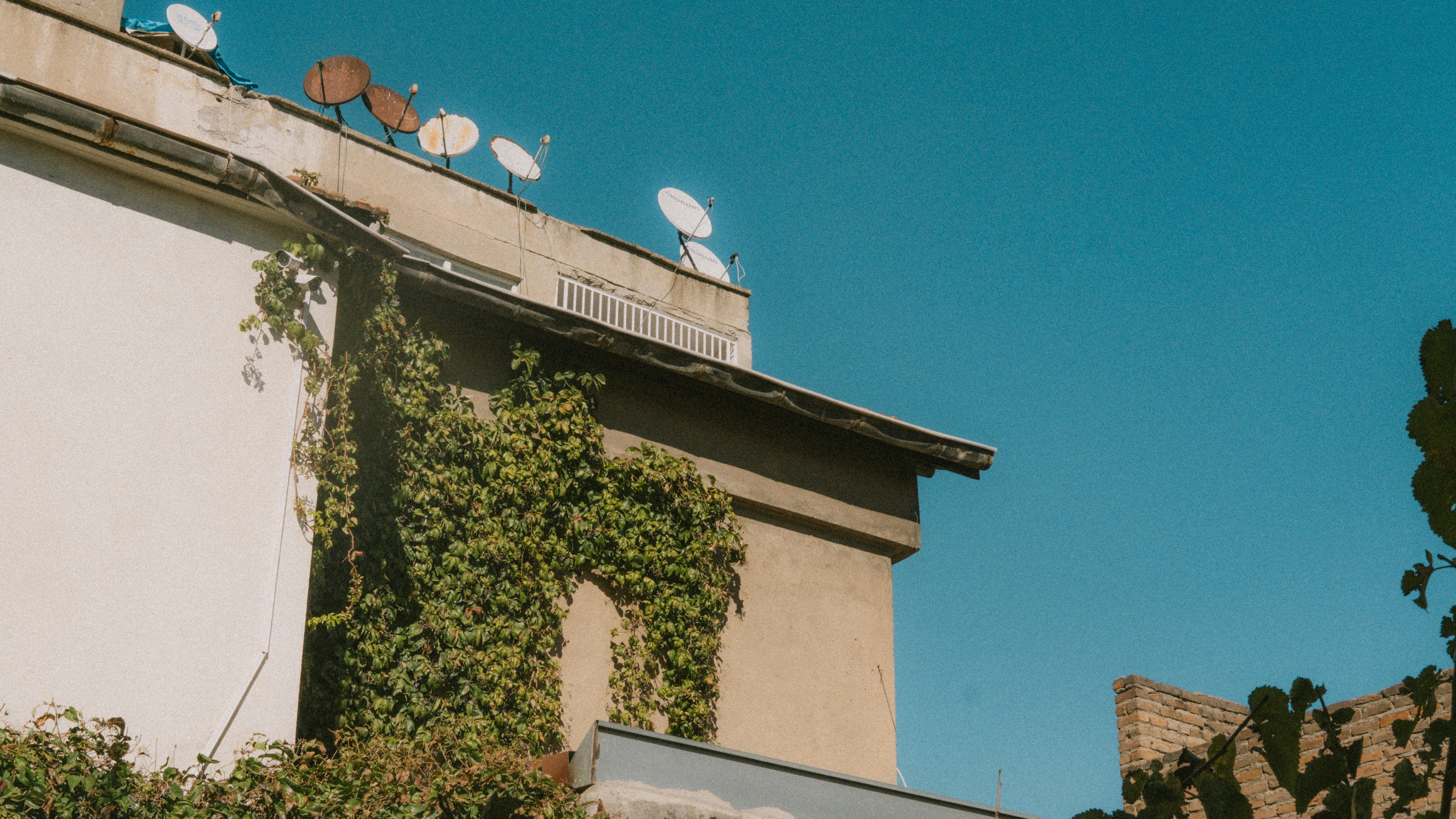 A flock of birds sitting on top of a building