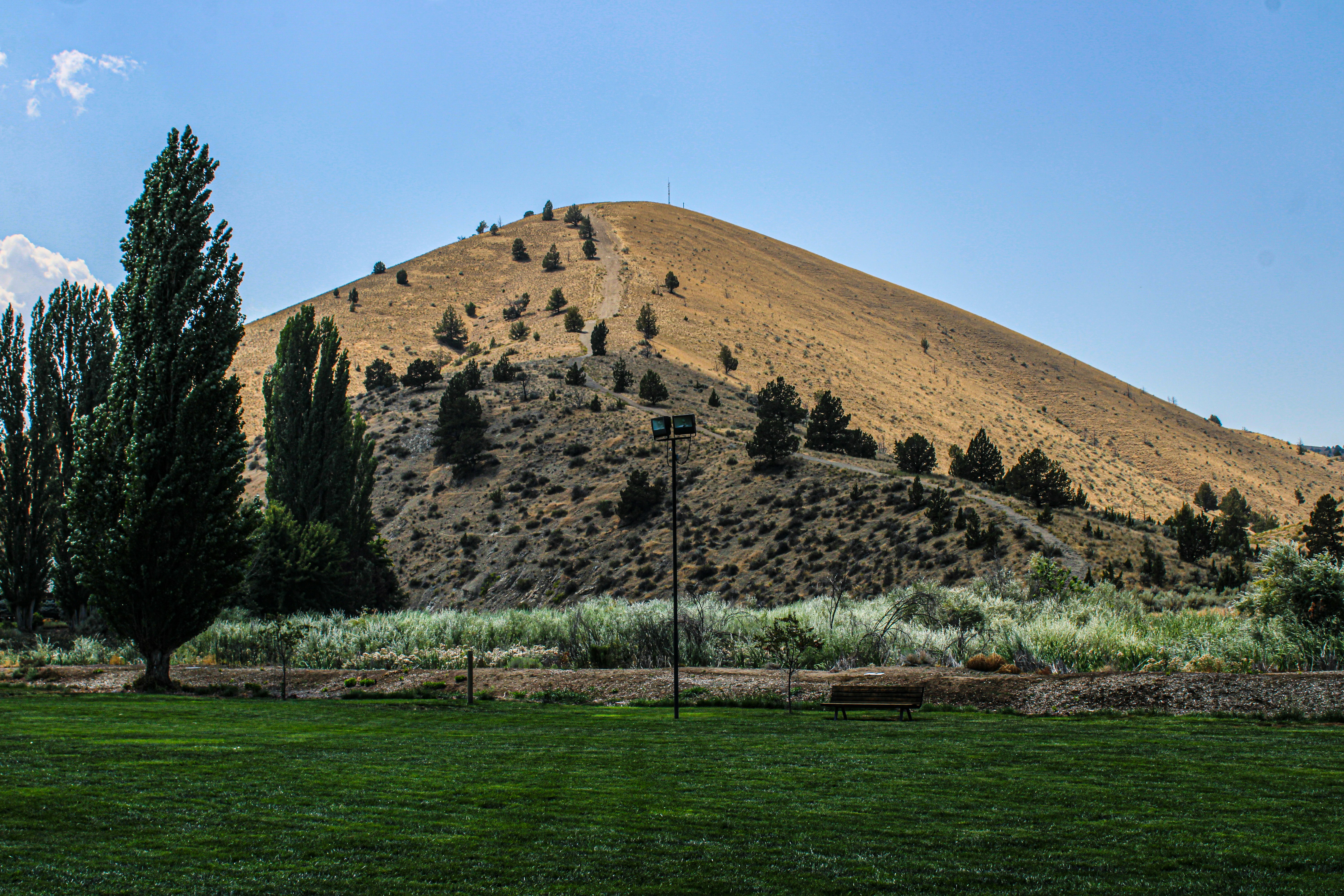 Photo by prphotography262