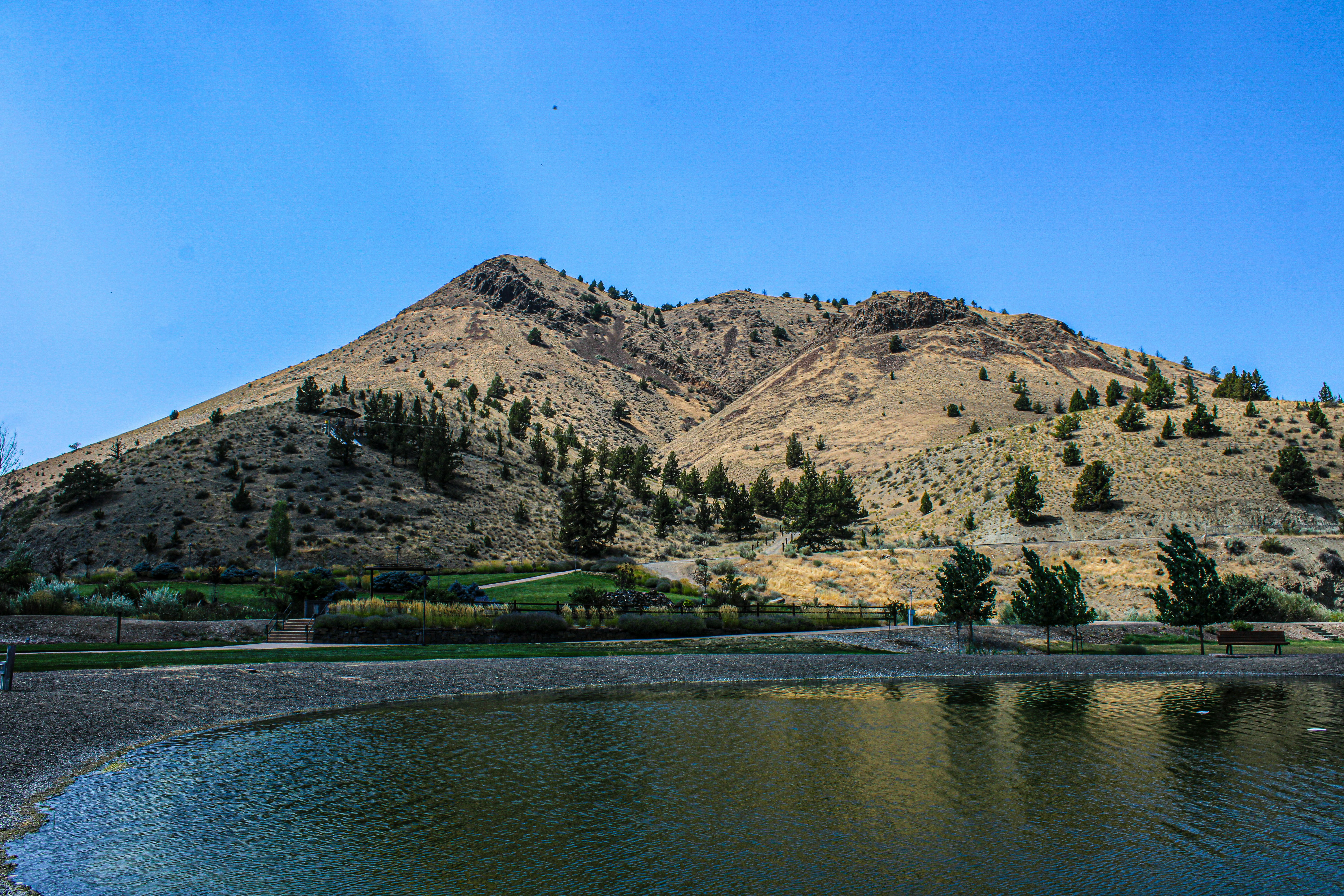 Photo by prphotography262