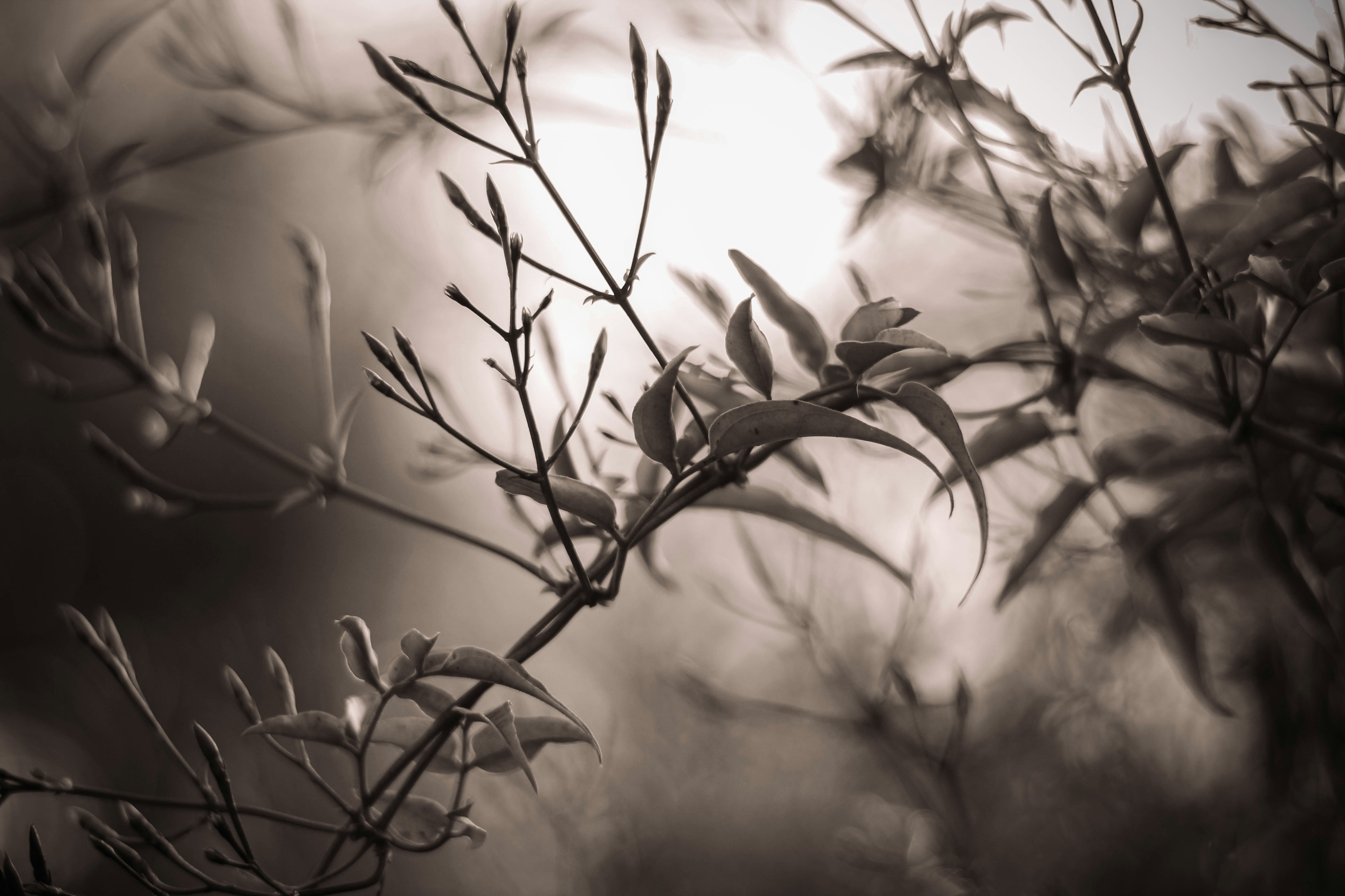 Photo by jacobmitani12