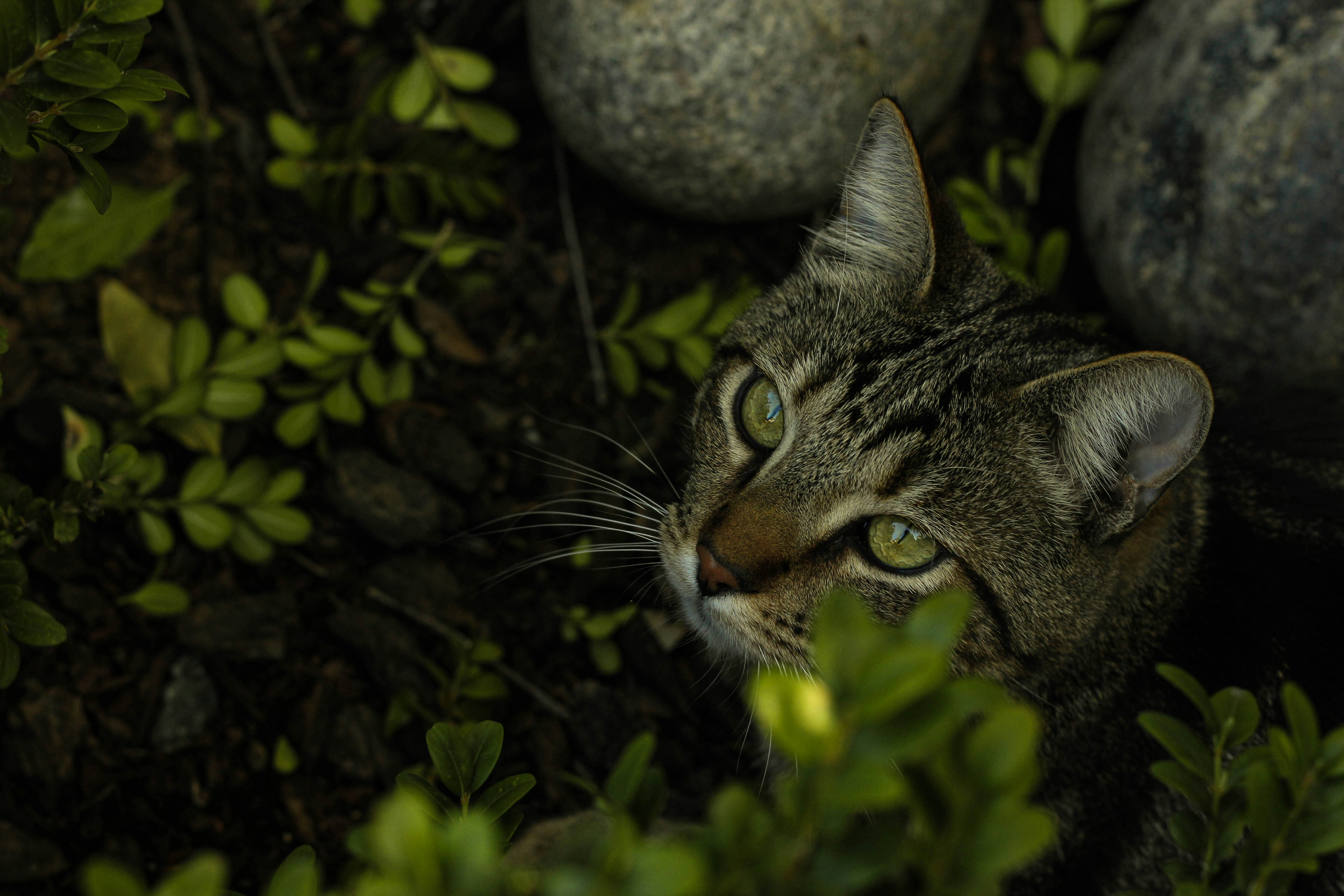 Photo by jacobmitani12