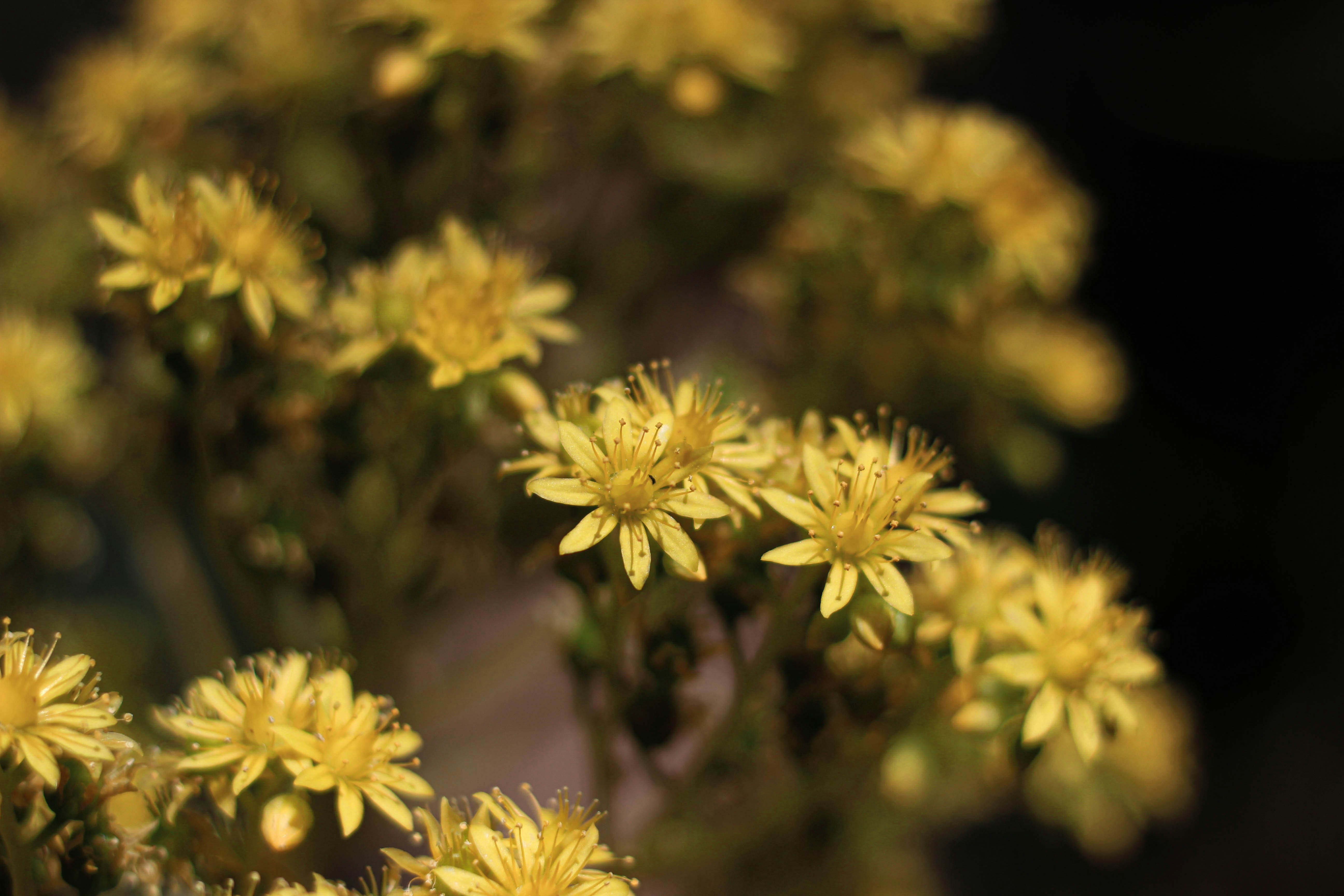 Photo by jacobmitani12