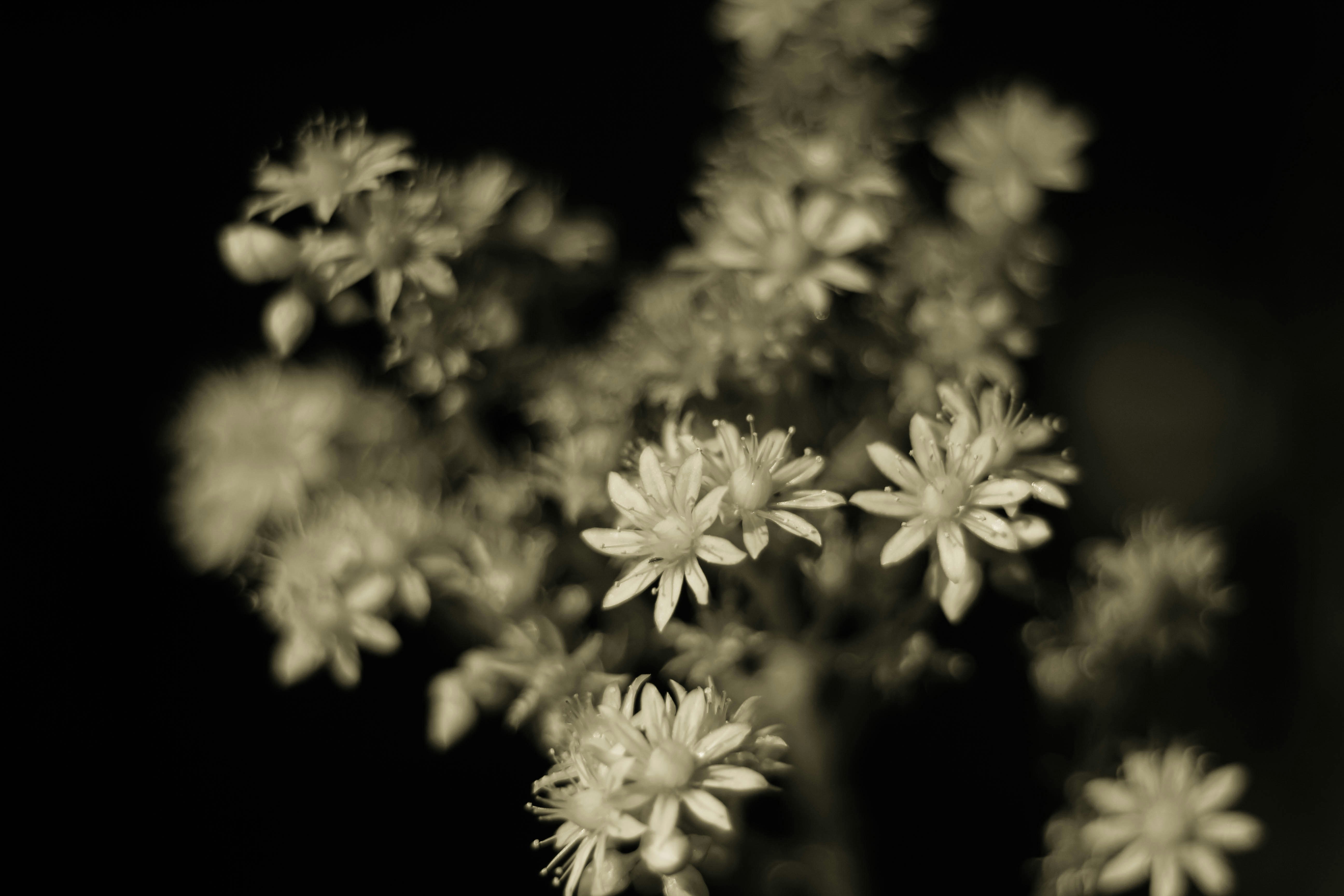 Photo by jacobmitani12