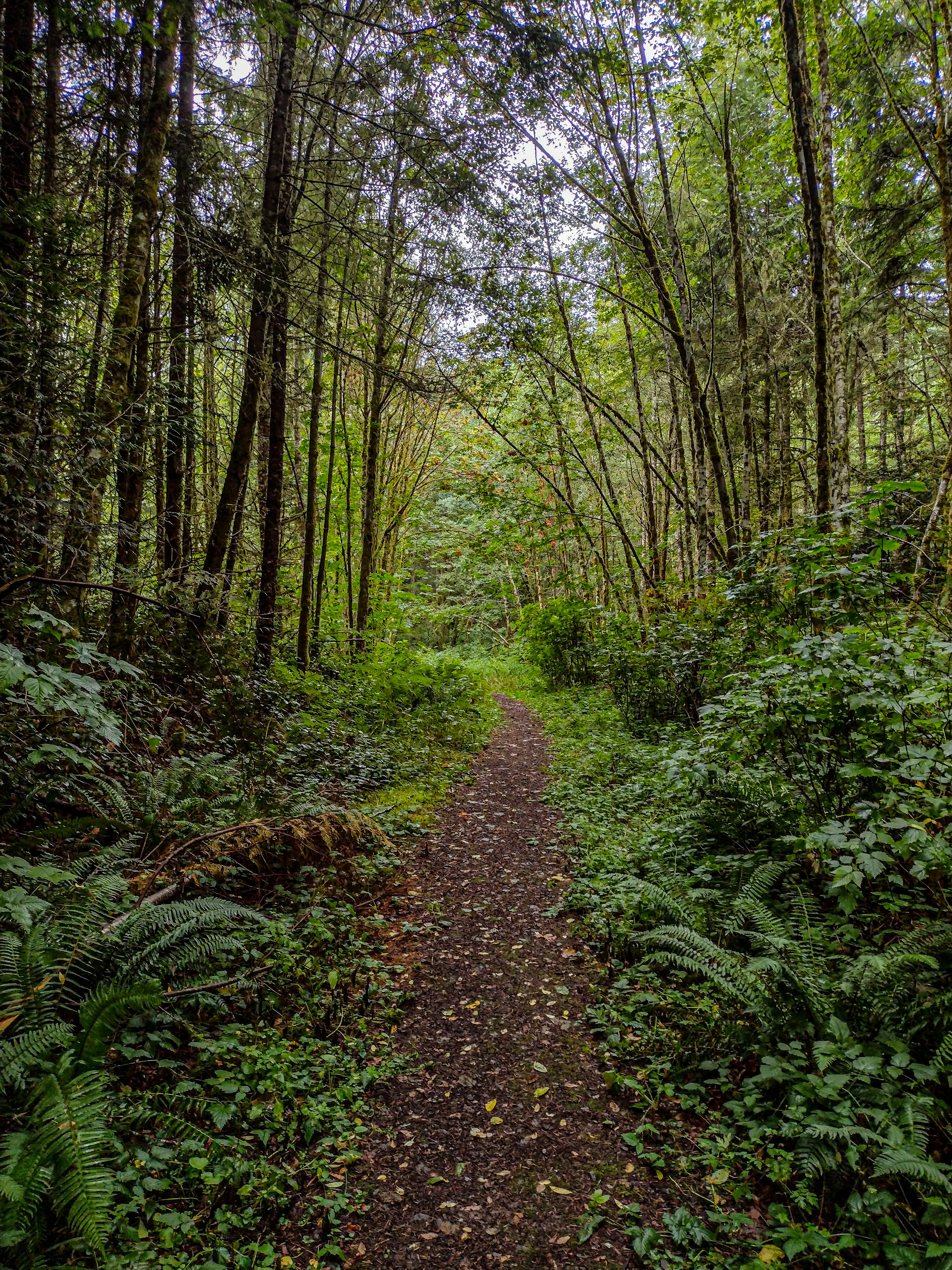 Photo by prphotography262