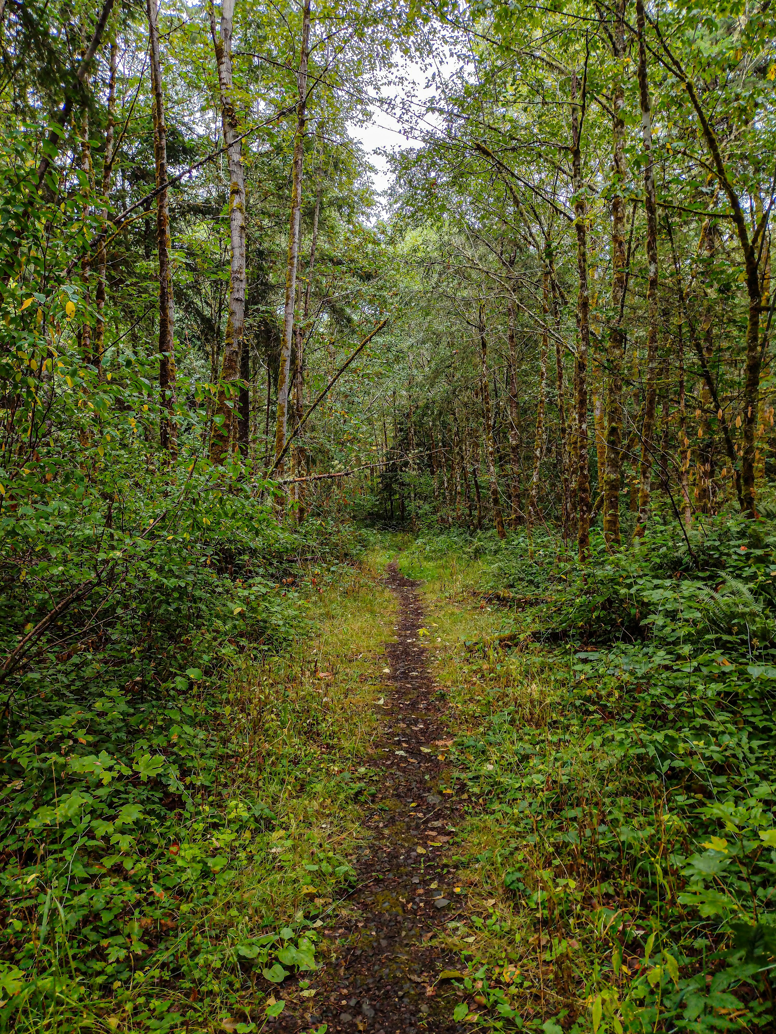 Photo by prphotography262