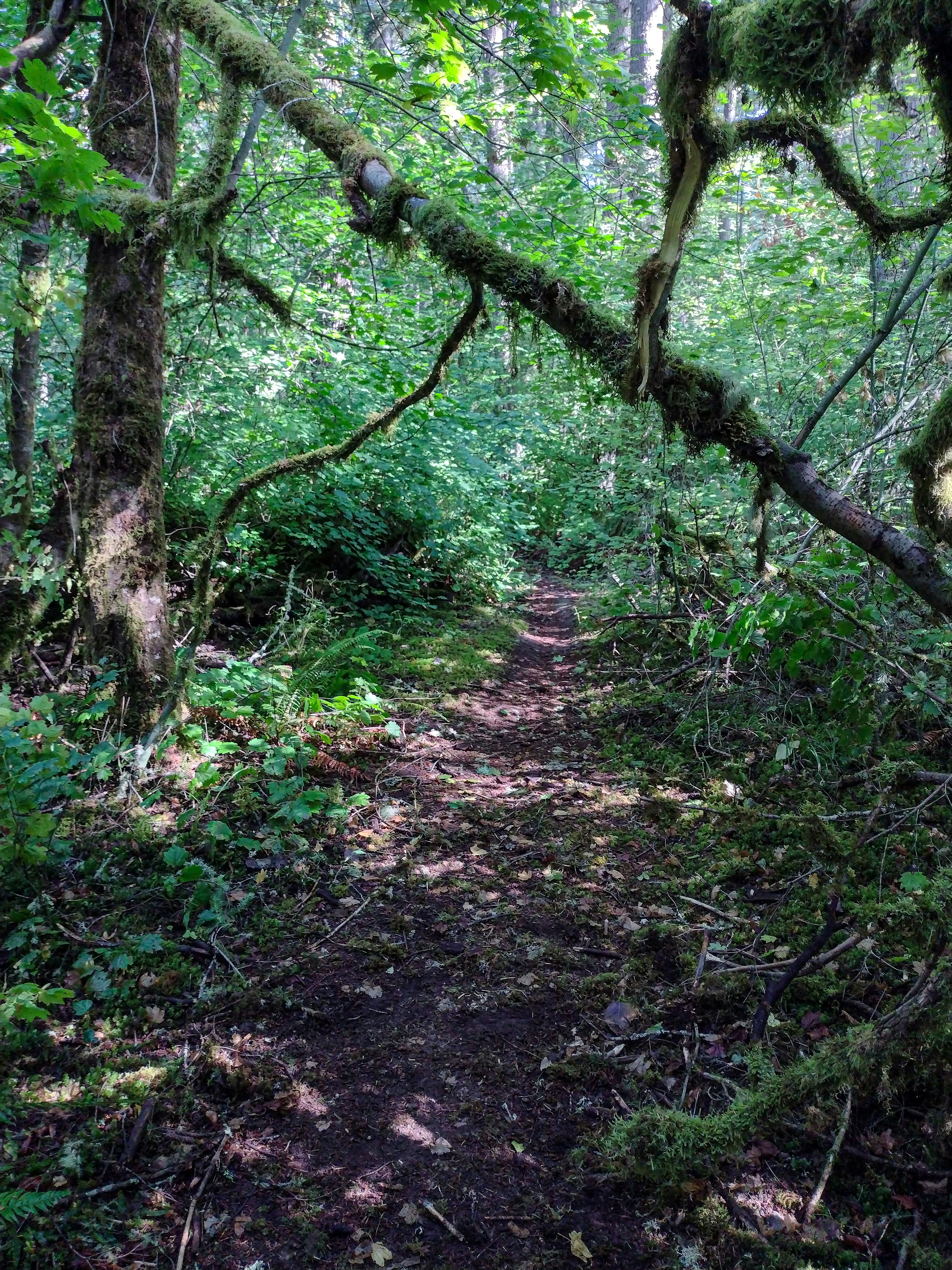 Photo by prphotography262