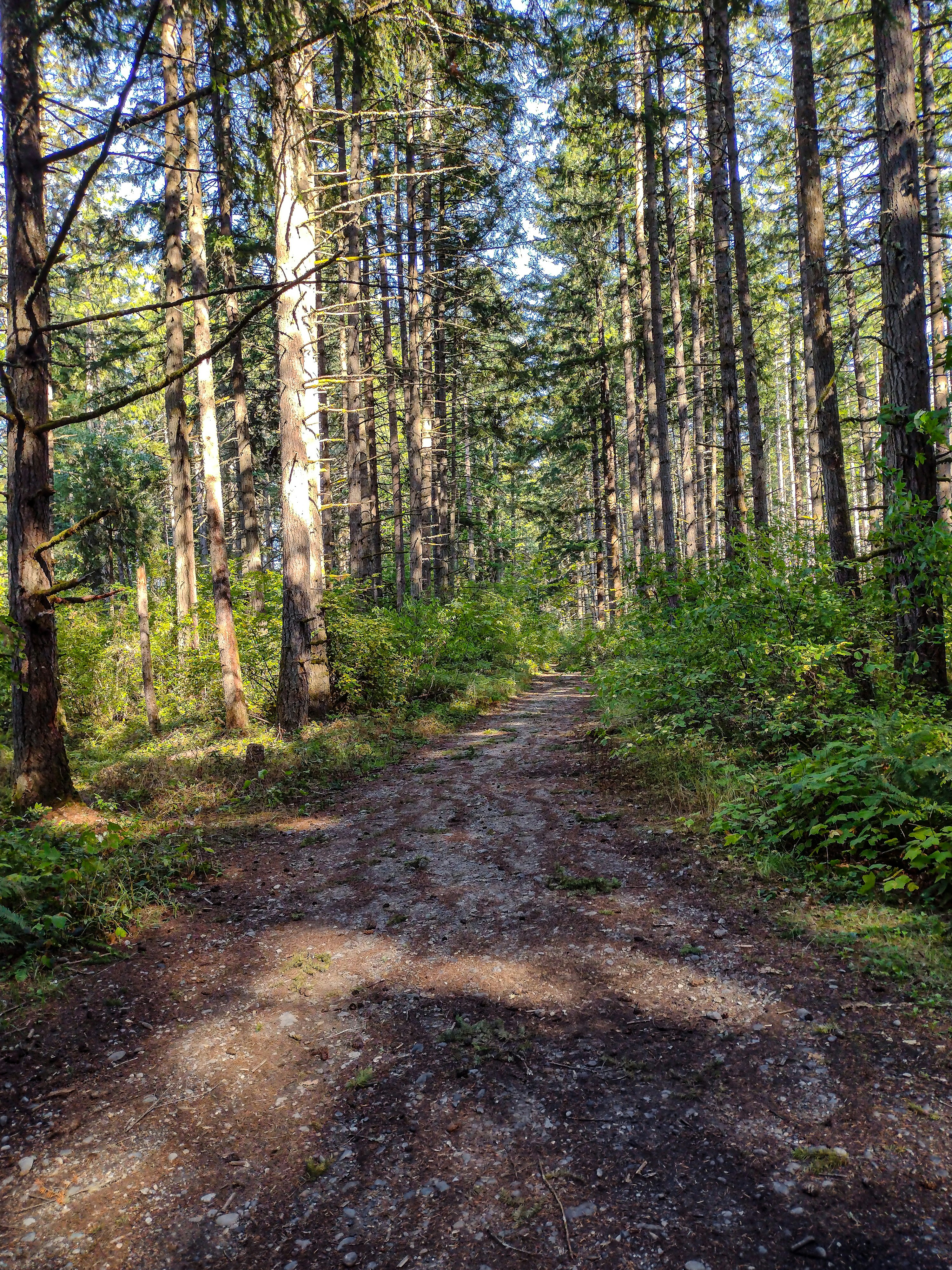 Photo by prphotography262