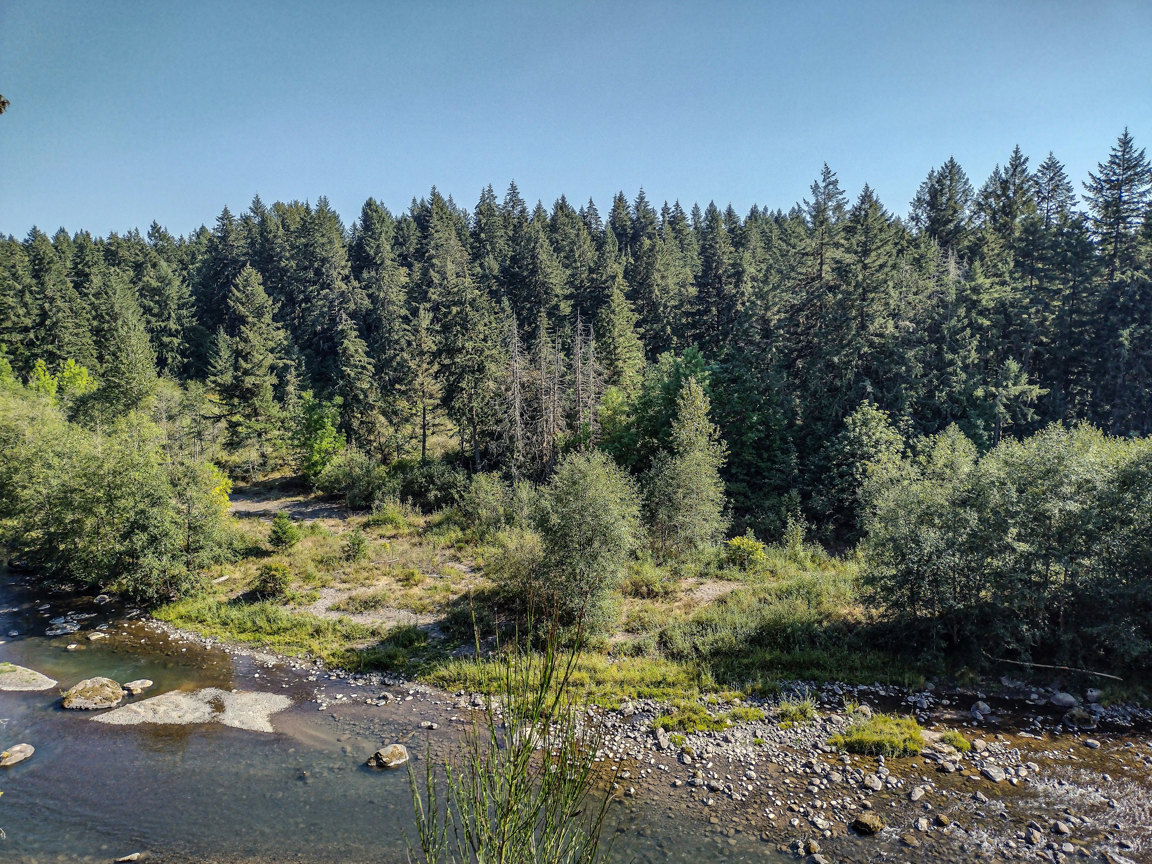 Photo by prphotography262