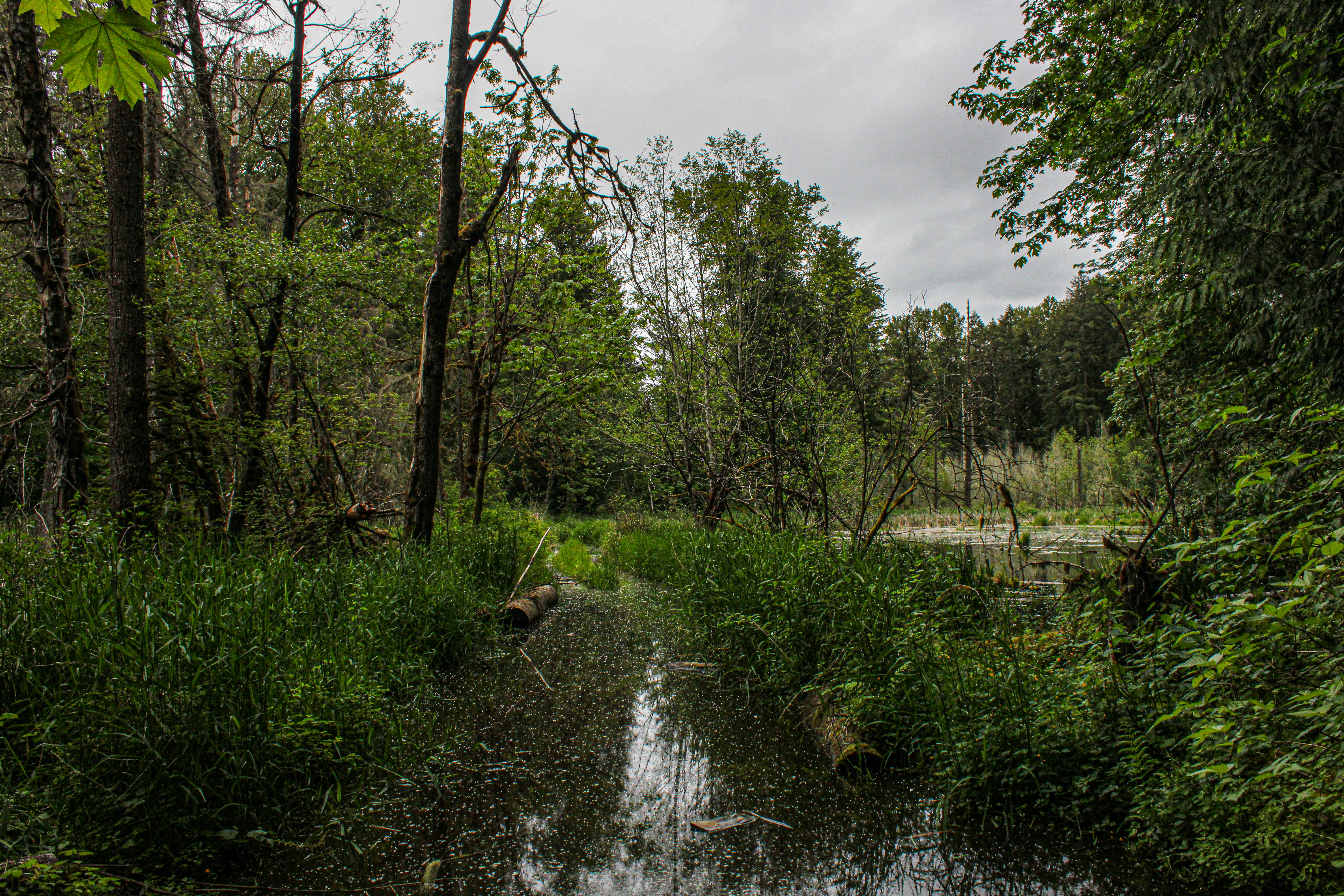 Photo by prphotography262