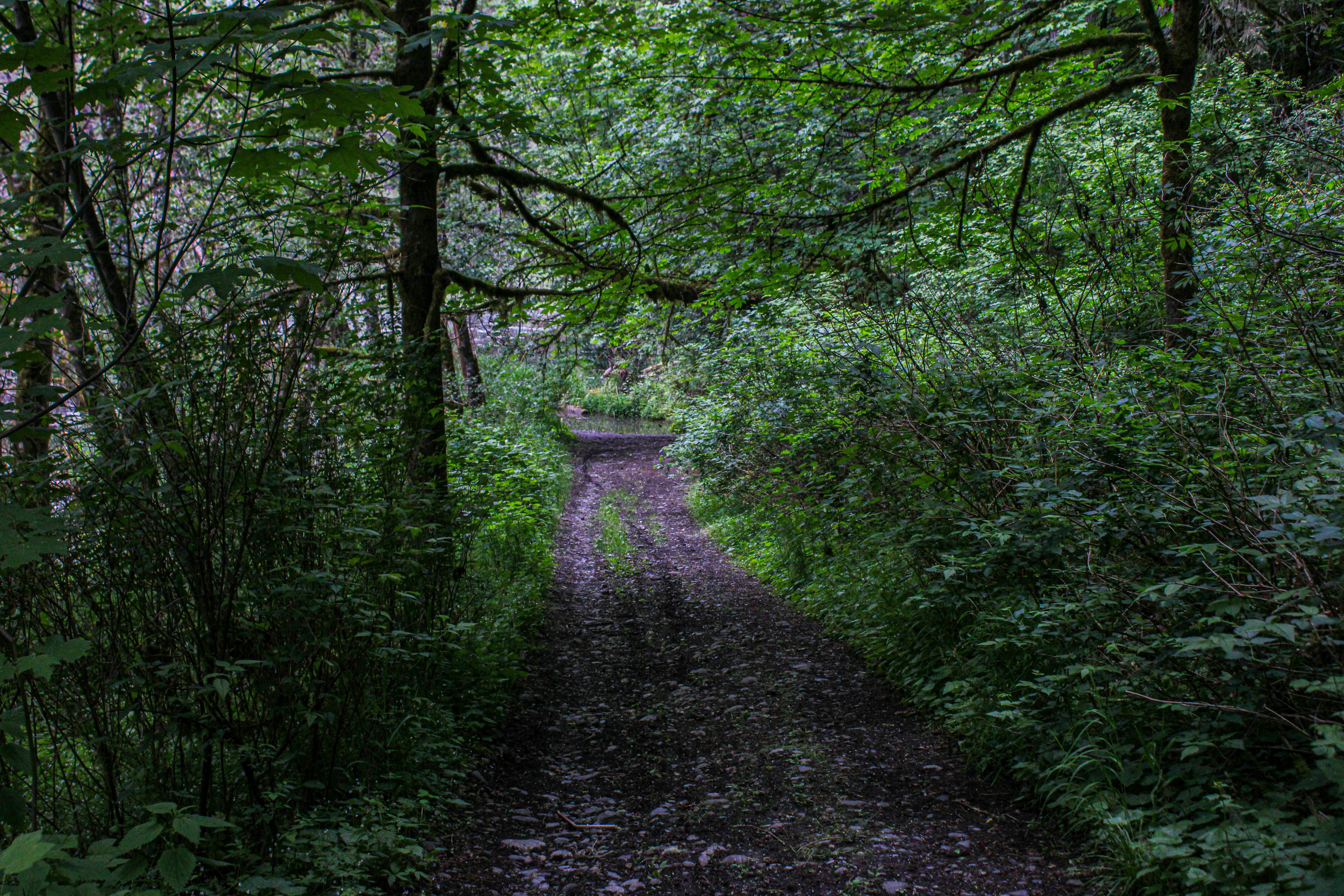 Photo by prphotography262