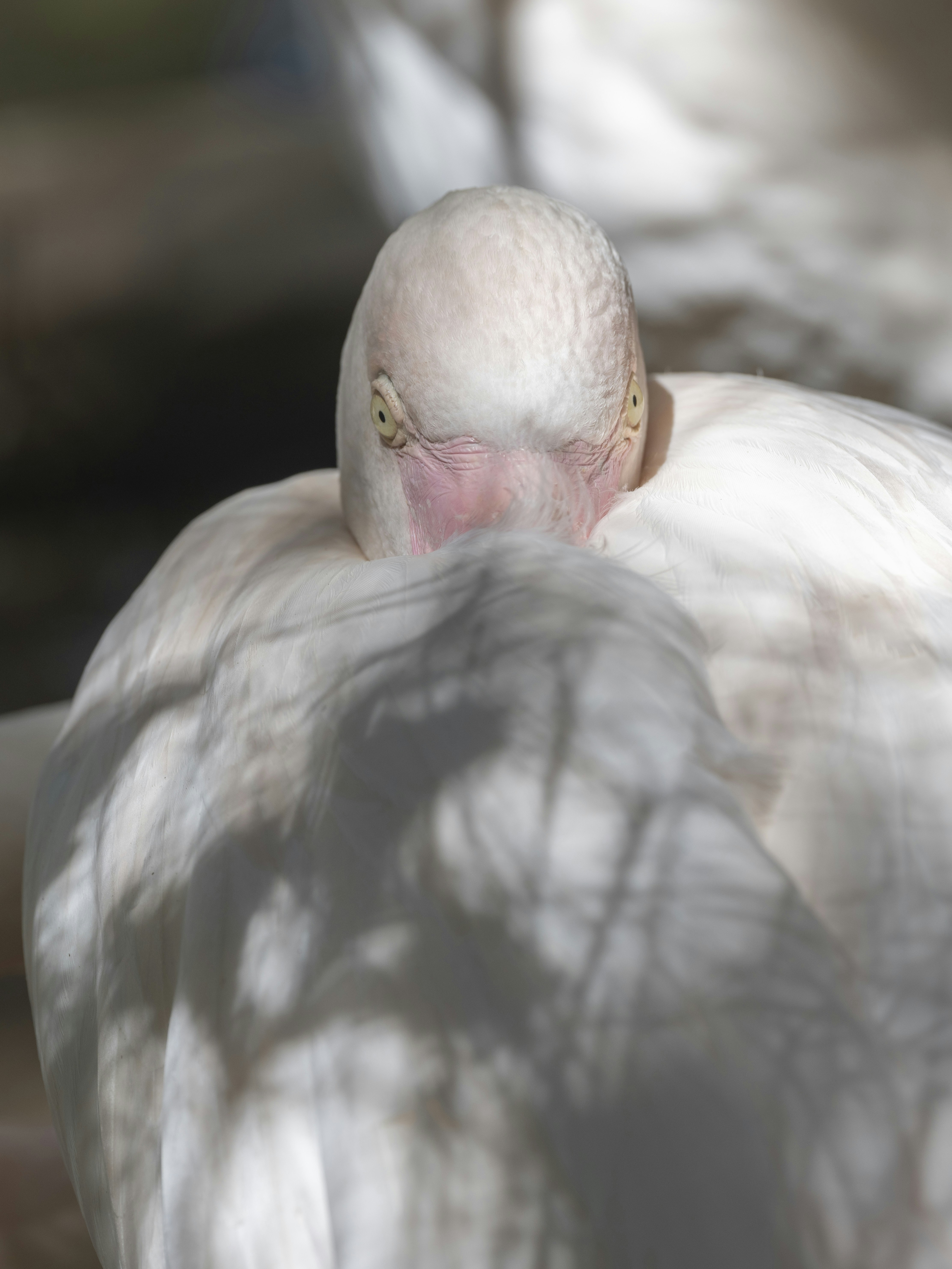 Photo by enginakyurt