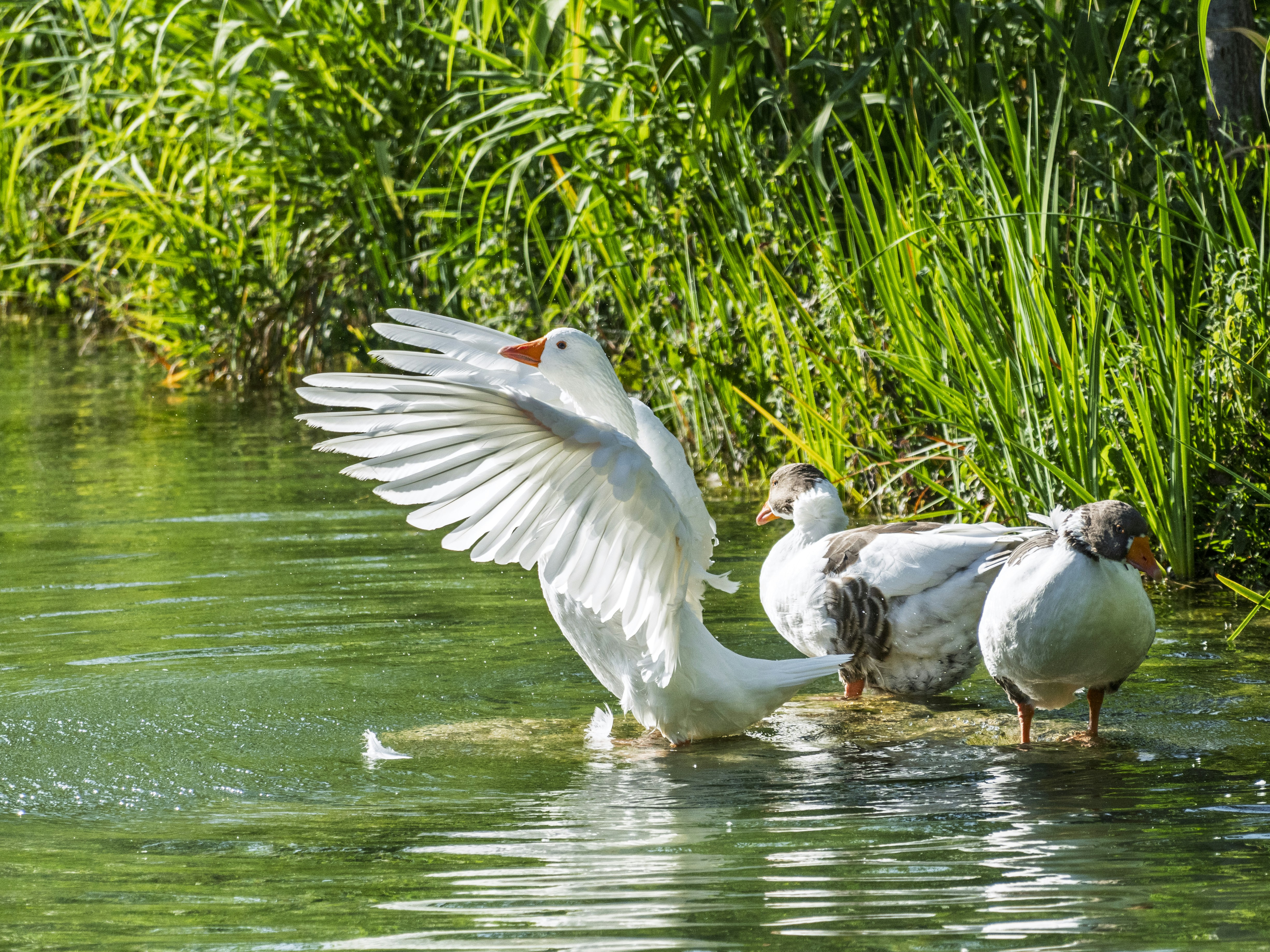 Photo by enginakyurt