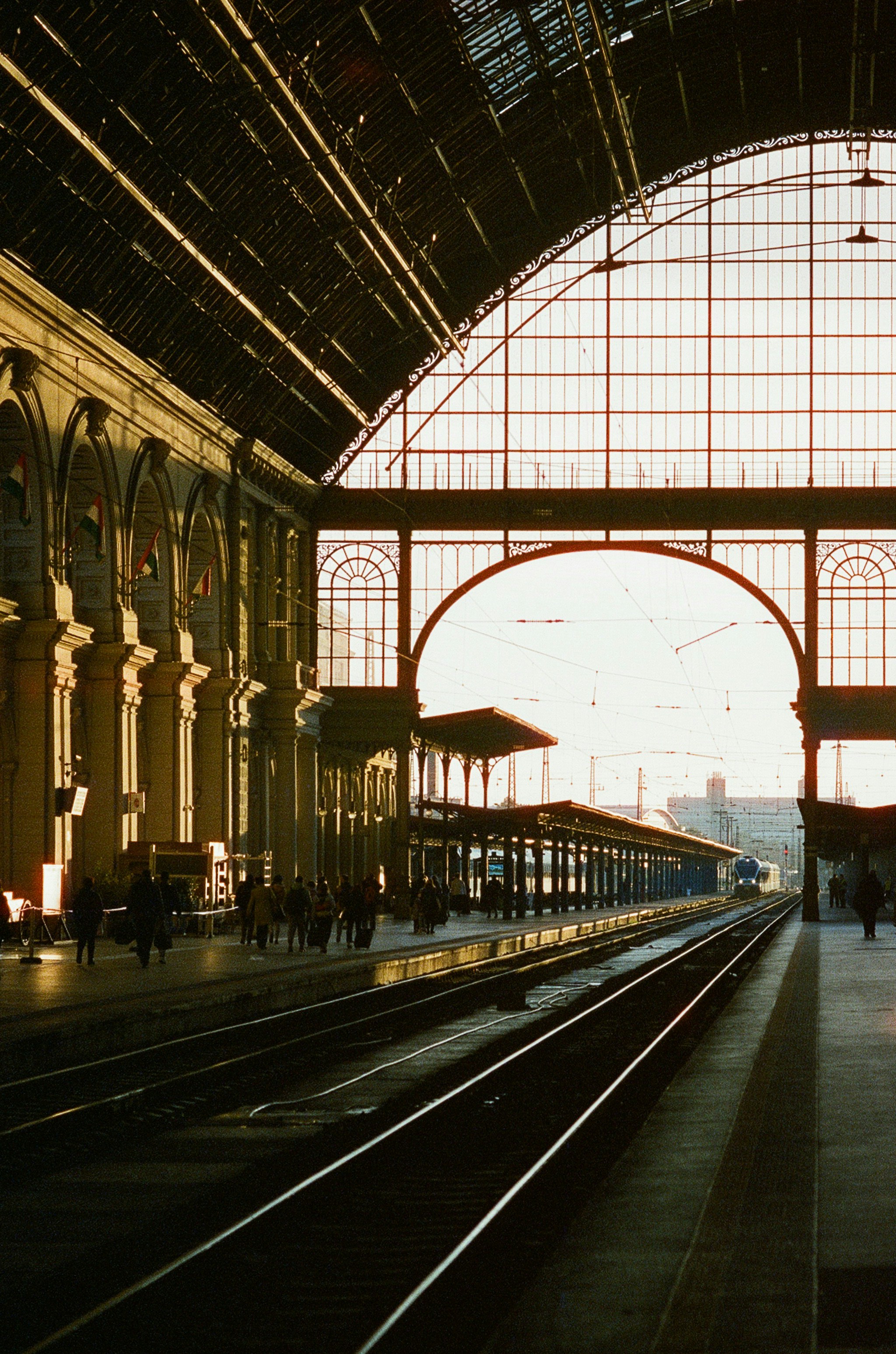 Photo by stachmann