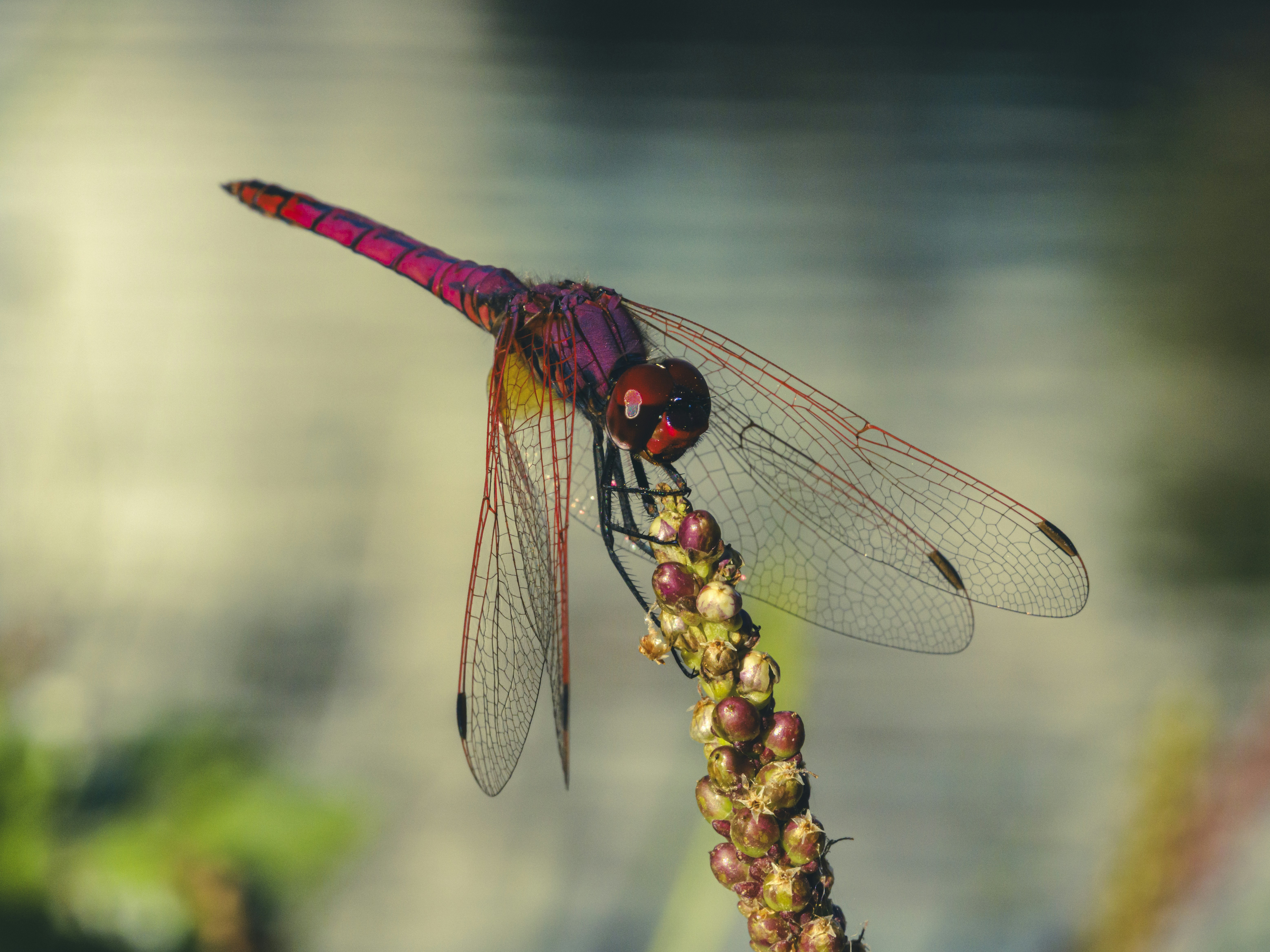 Photo by enginakyurt