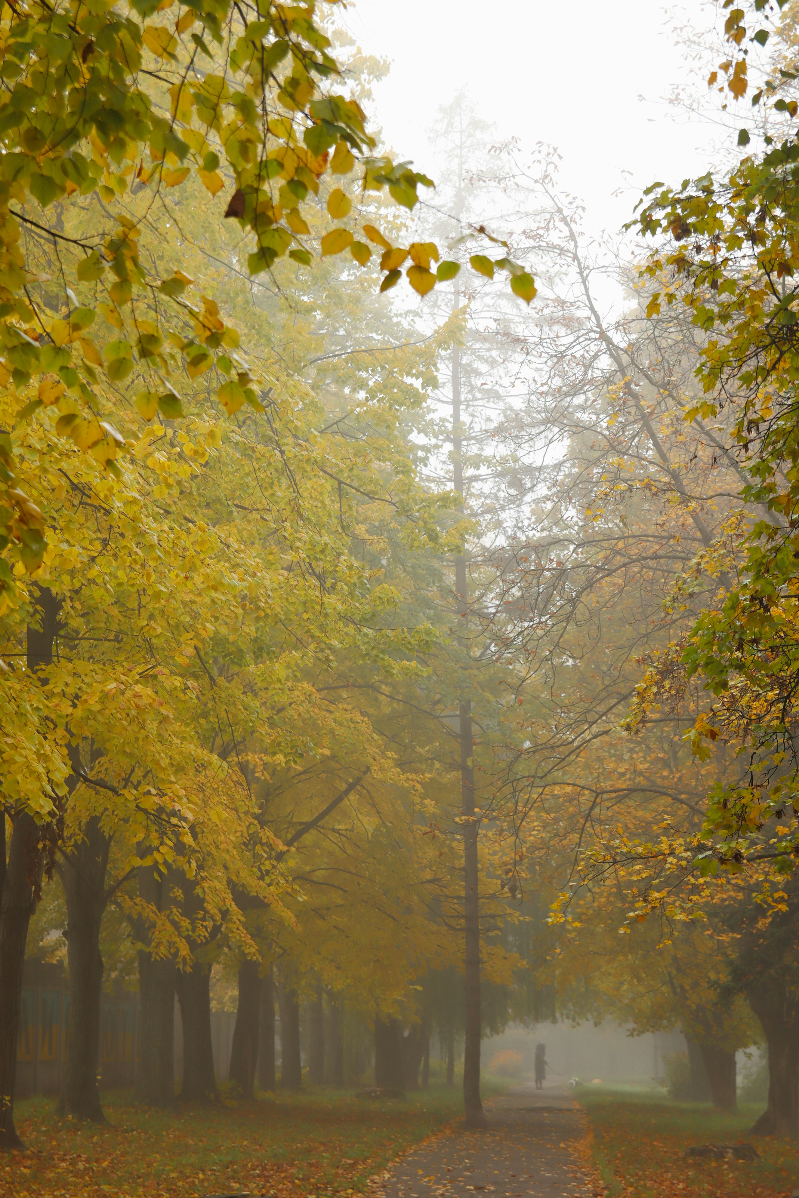 Photo by feeling_hope