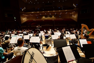 A large orchestra with lots of musical instruments