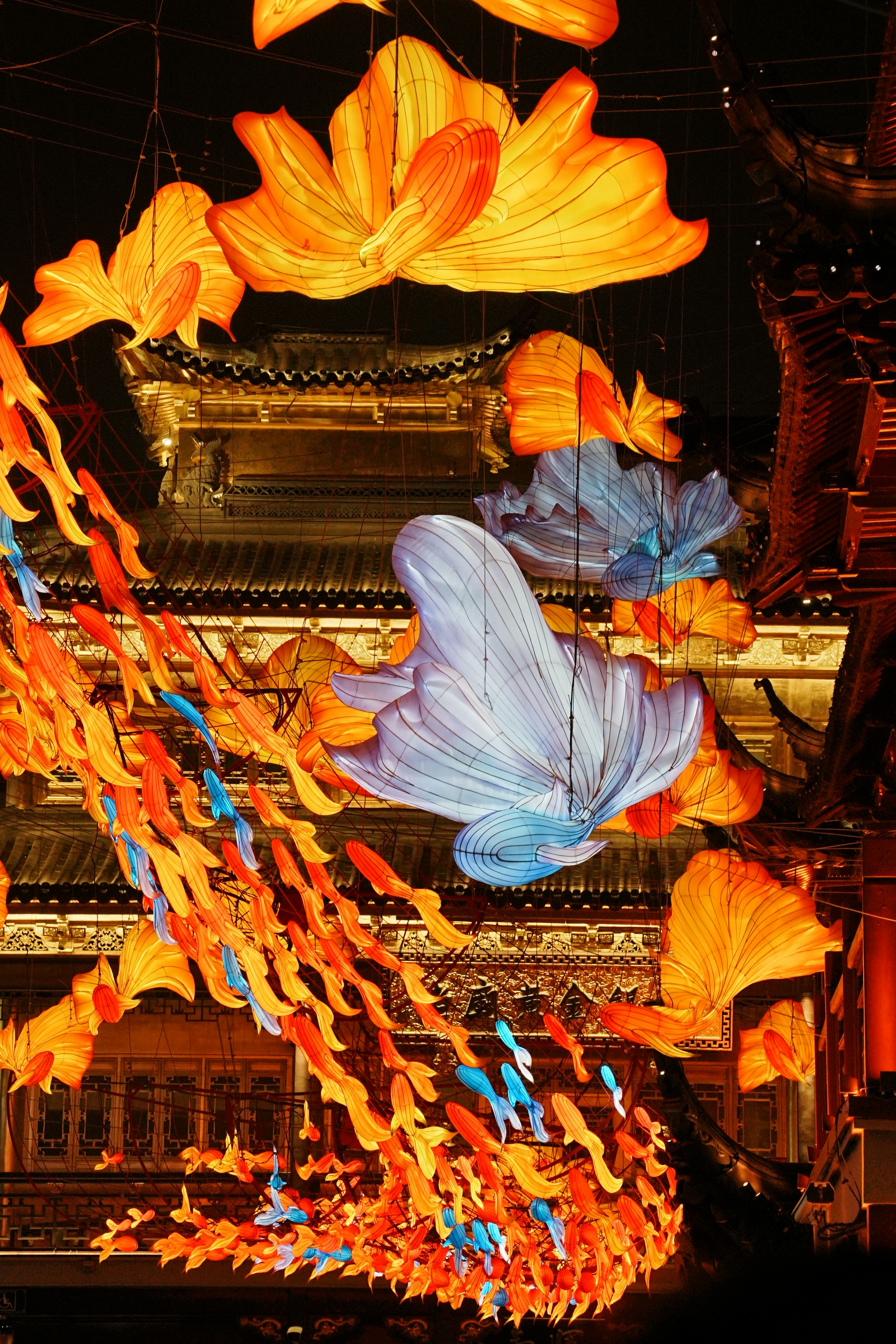 traditional display