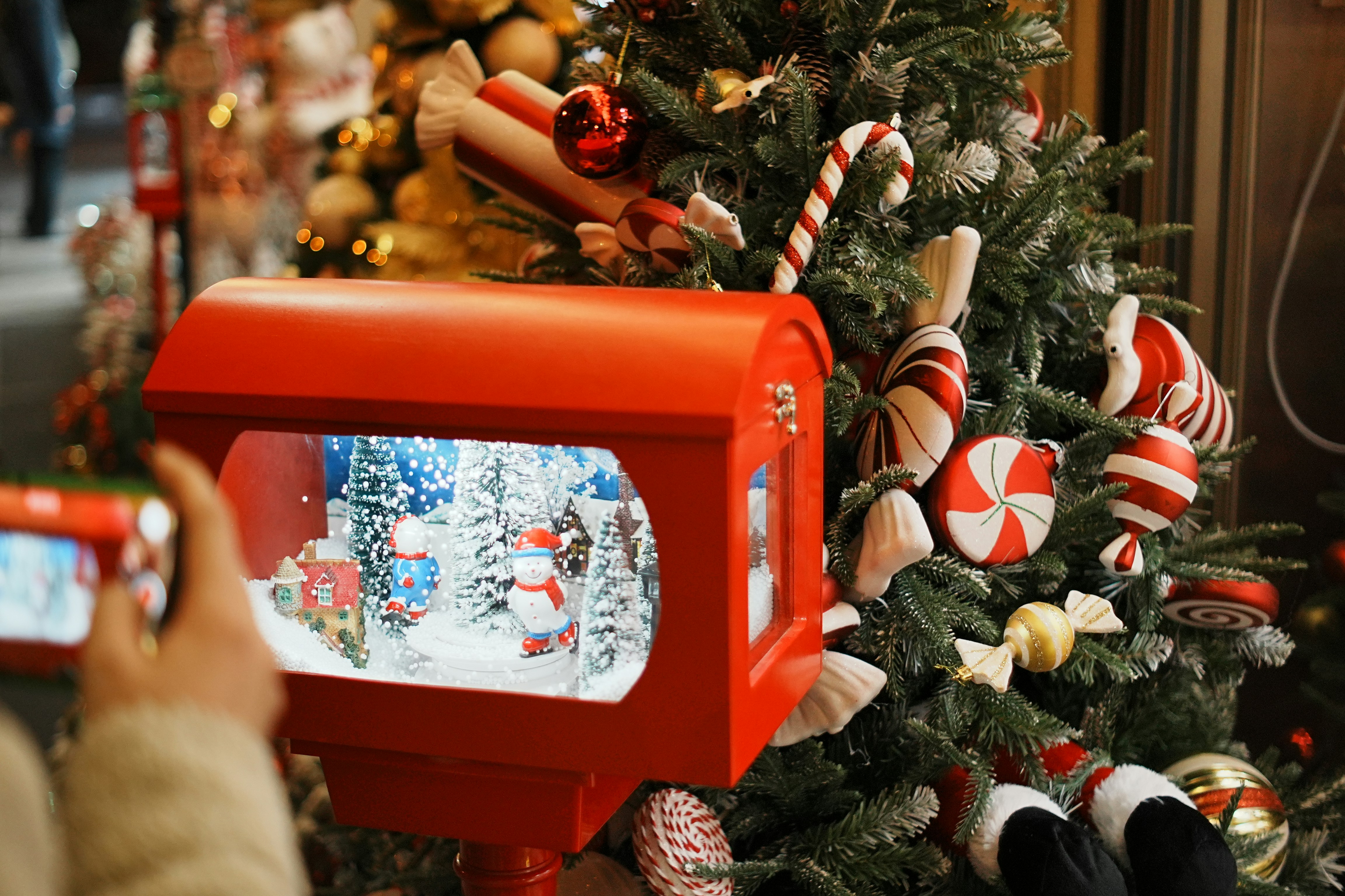 Eine Person, die ein Foto von einem Weihnachtsbaum macht