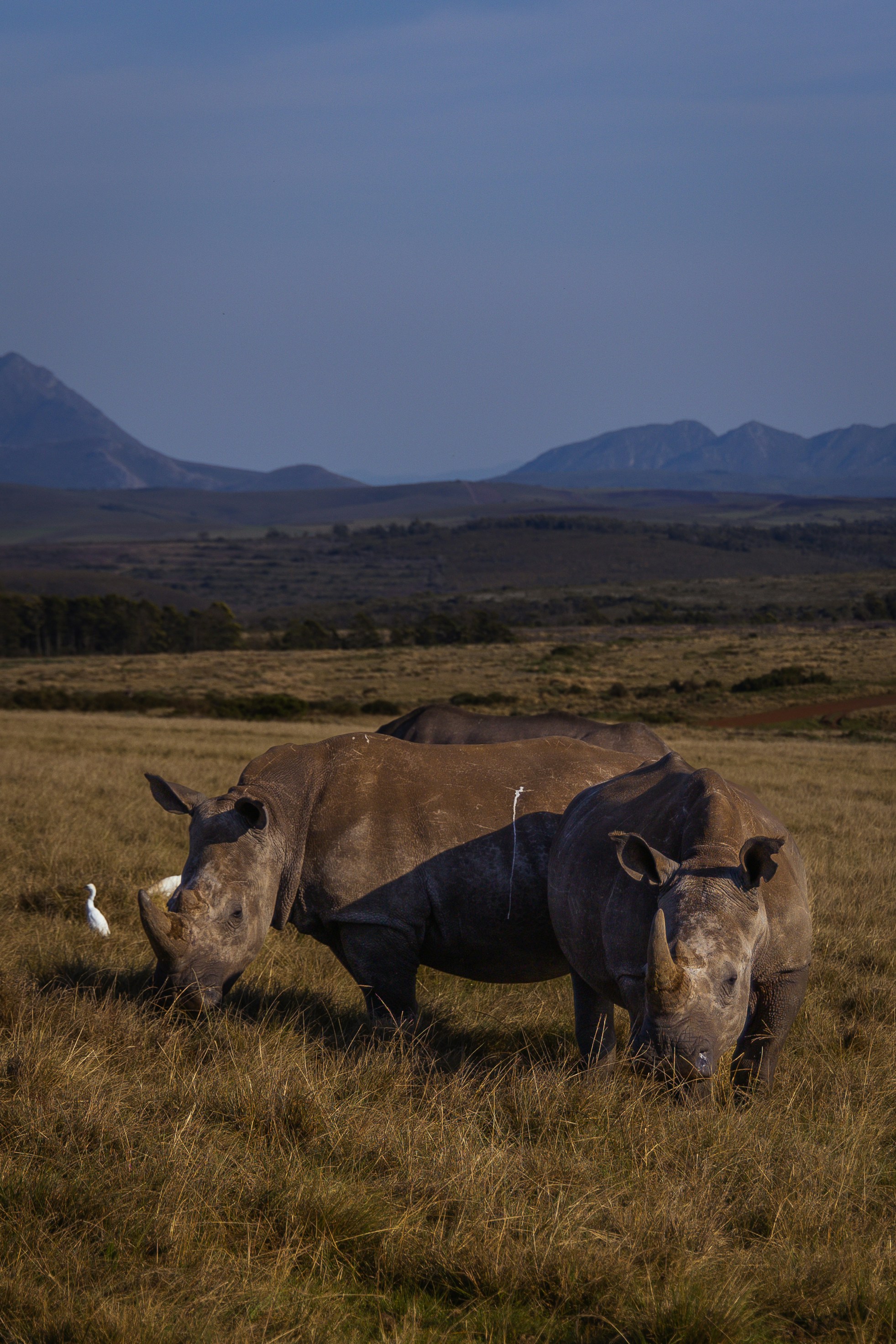 Ngorongoro Crater Tanzania