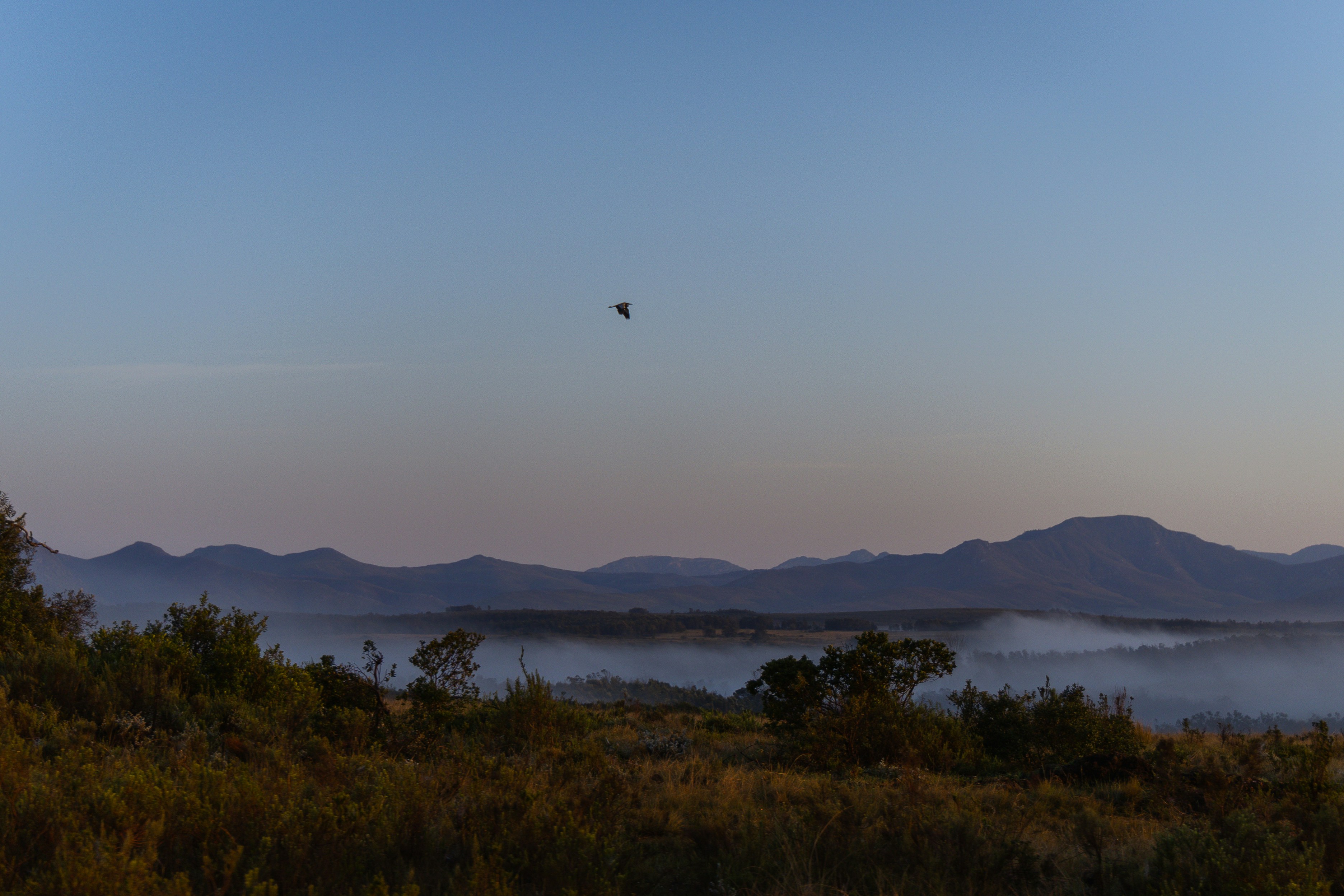 Hot Air Ballooning Hazyview