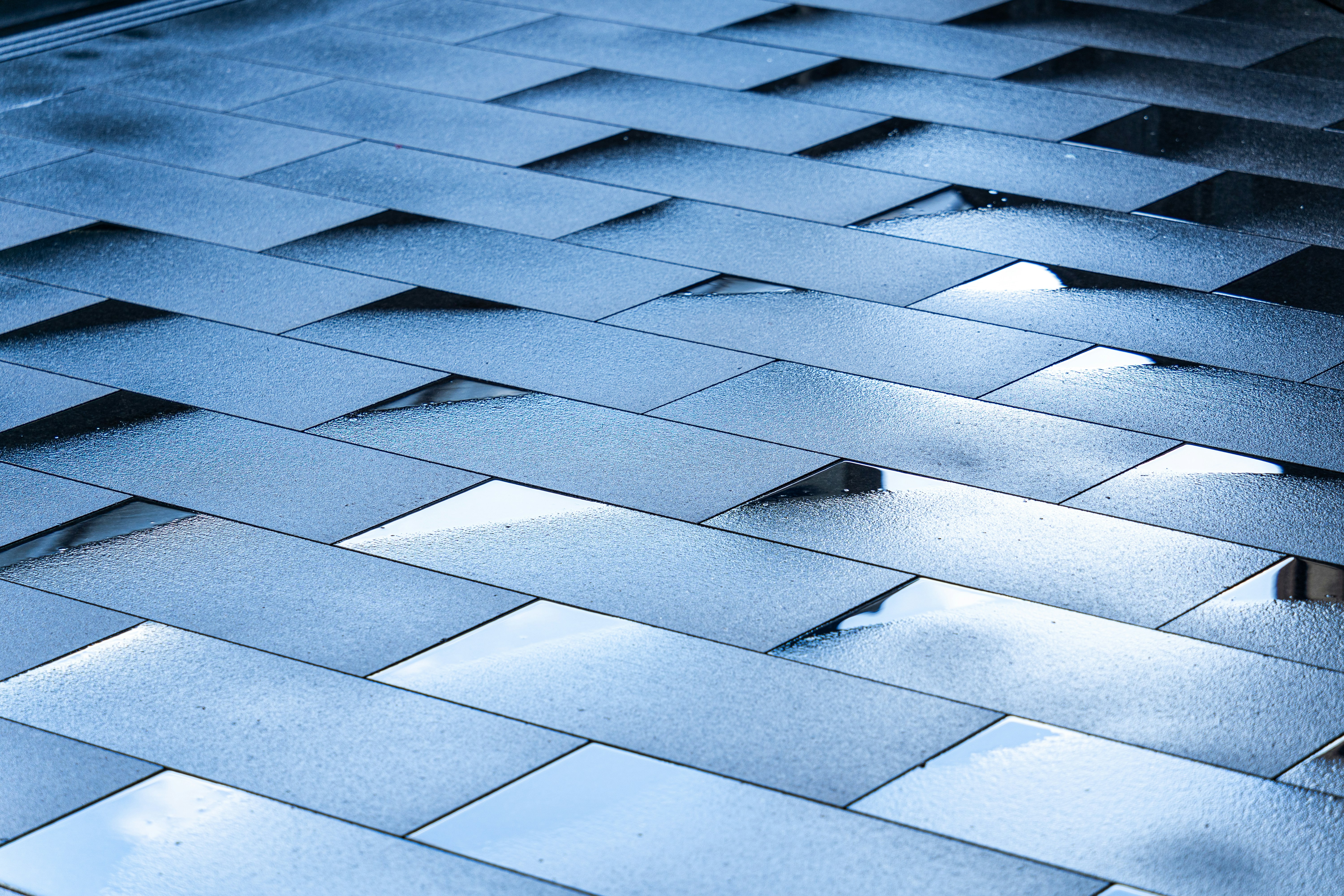 Photo by winstonchen