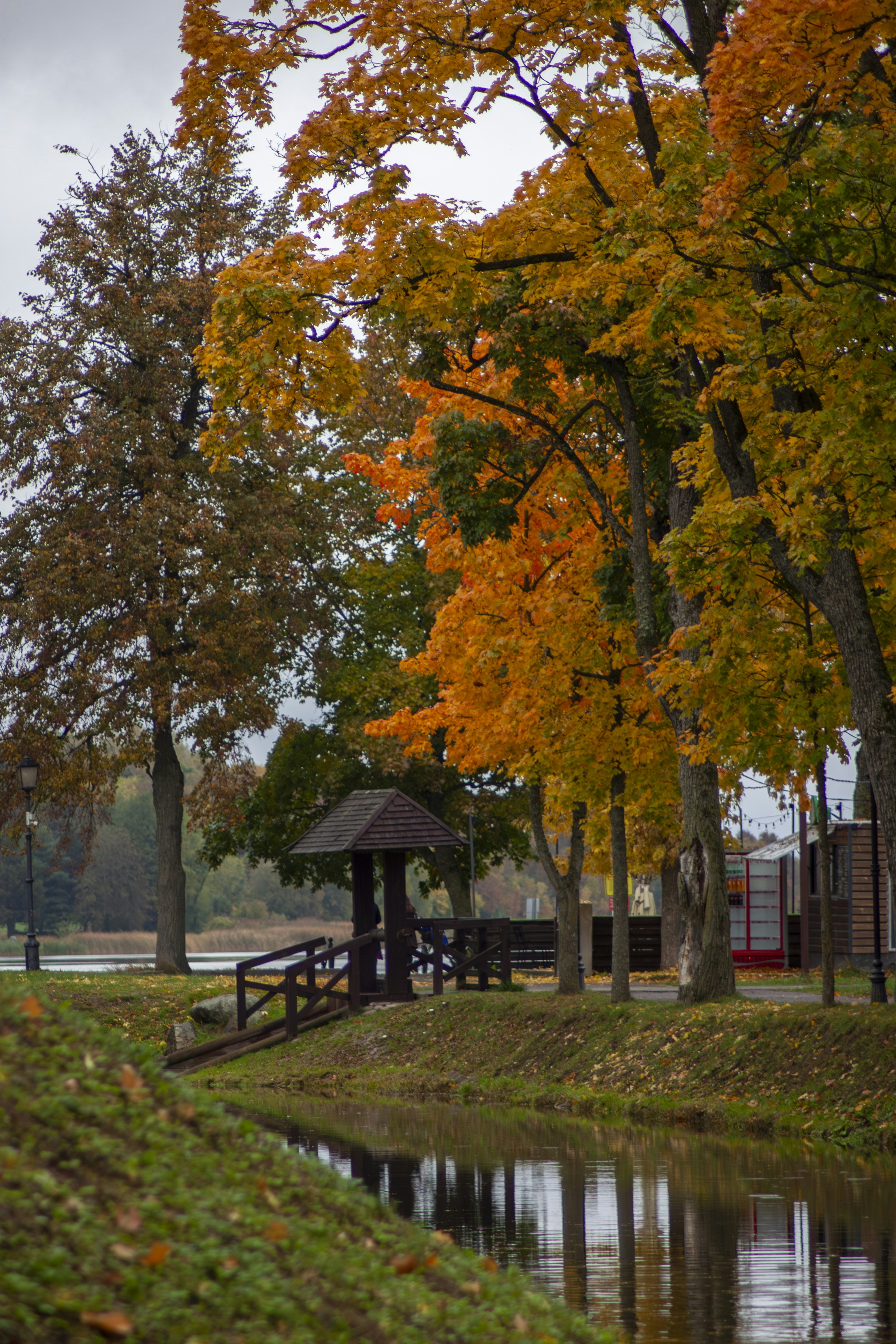 photo-1730103601096-b2753681e9fd?ixid=M3wxMjA3fDB8MXxzZWFyY2h8MTd8fCVEMCU5MCVEMCVCRCVEMCVCOCVEMCVCQyVEMCVCNSUyMCVEMCVBNSVEMCVCRSVEMCVCNCVEMSU4RiVEMSU4NyVEMCVCOCVEMCVCOSUyMCVEMCVCNyVEMCVCMCVEMCVCQyVEMCVCRSVEMCVCQXxlbnwwfHx8fDE3MzEwMjA0NTV8MA\u0026ixlib=rb-4.0.3