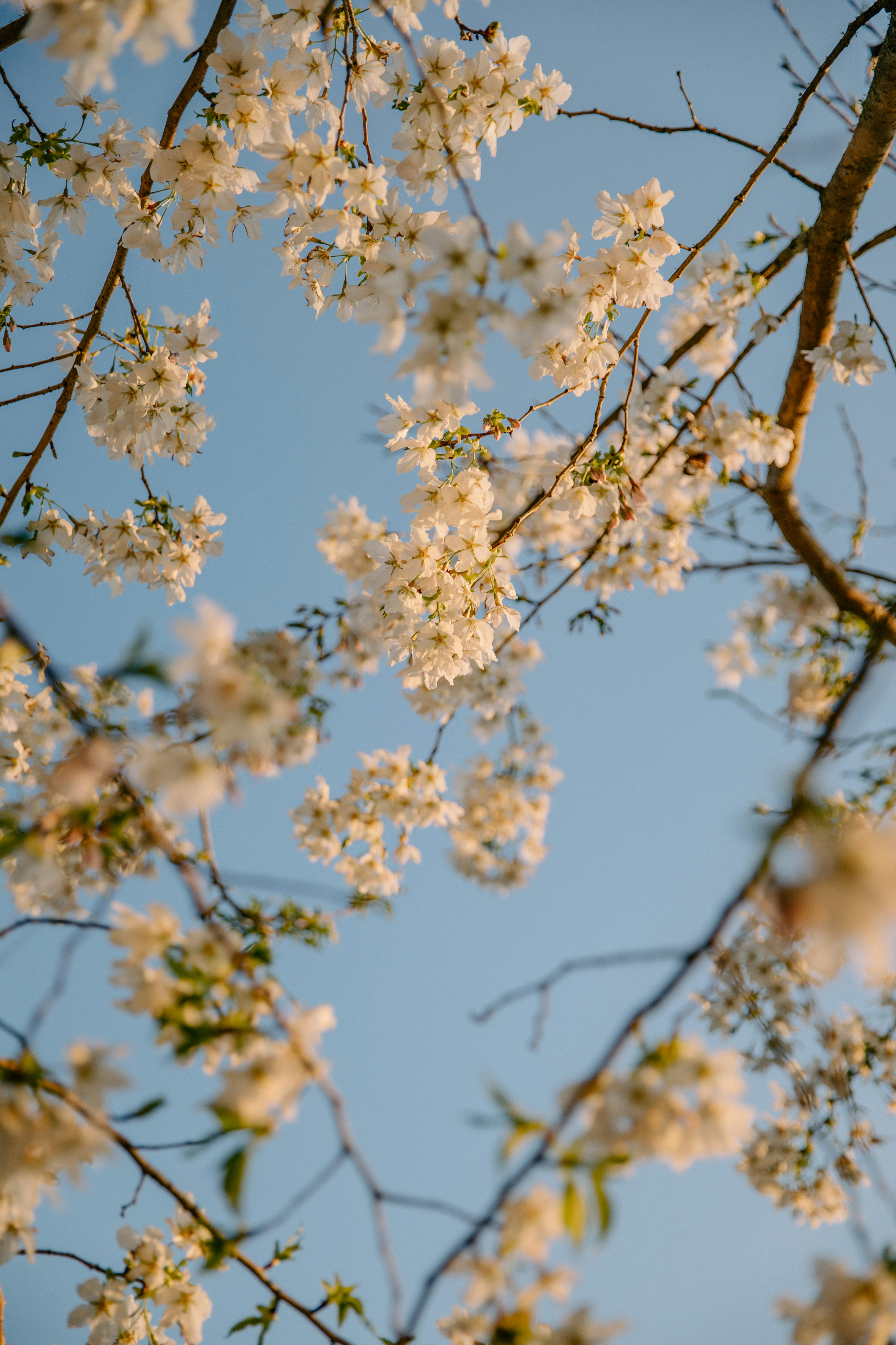 Photo by createinme_nz