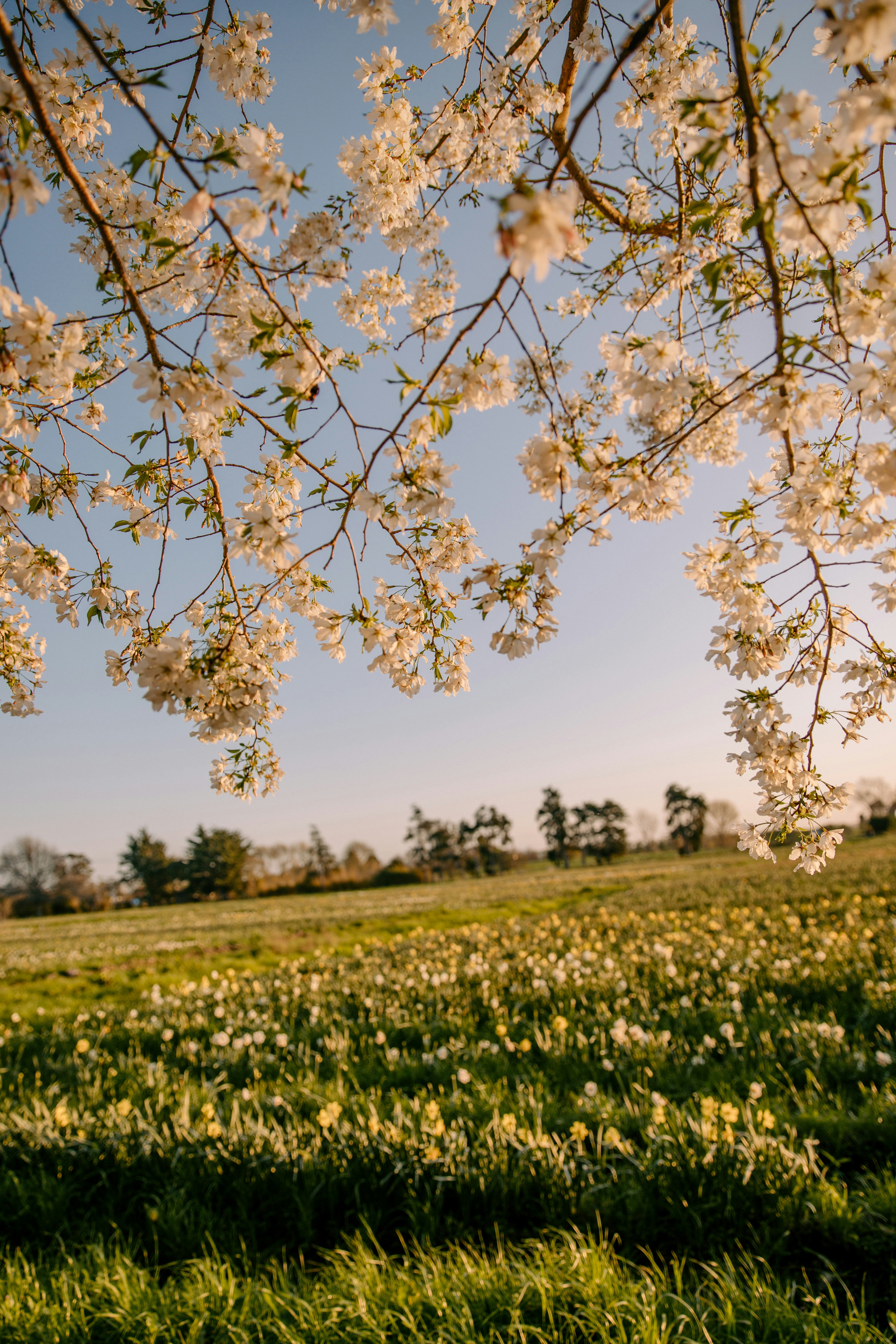 Photo by createinme_nz