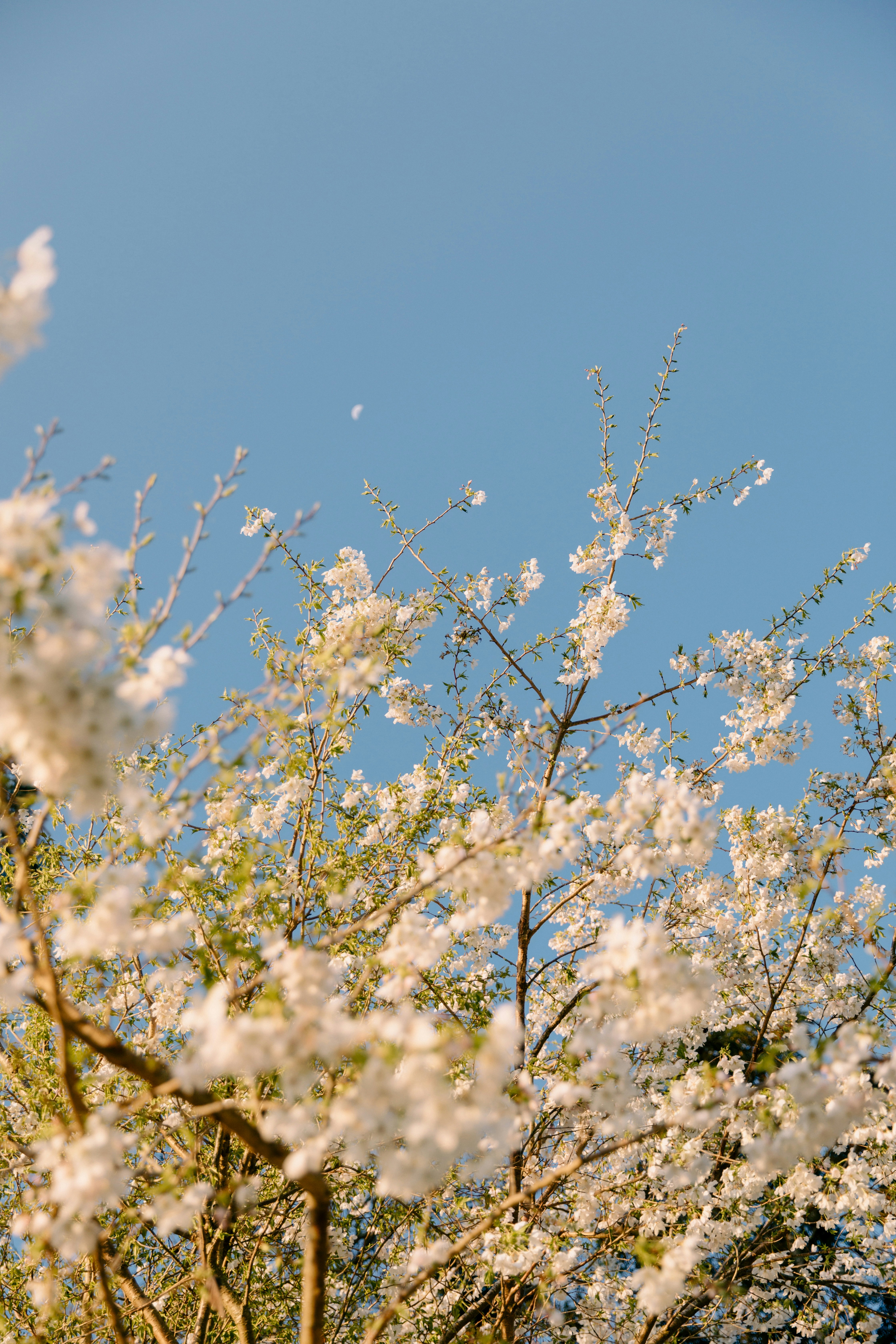 Photo by createinme_nz